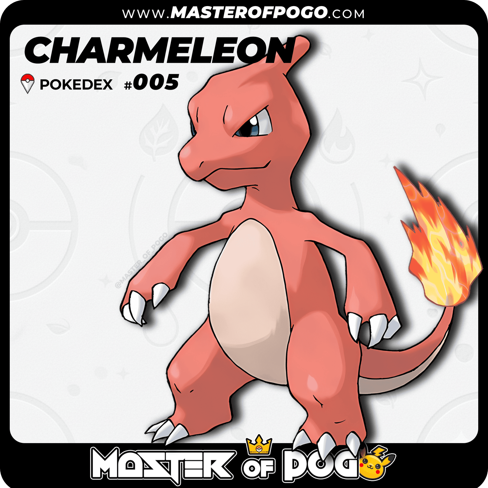 WEB-POKEMON-005-1.png