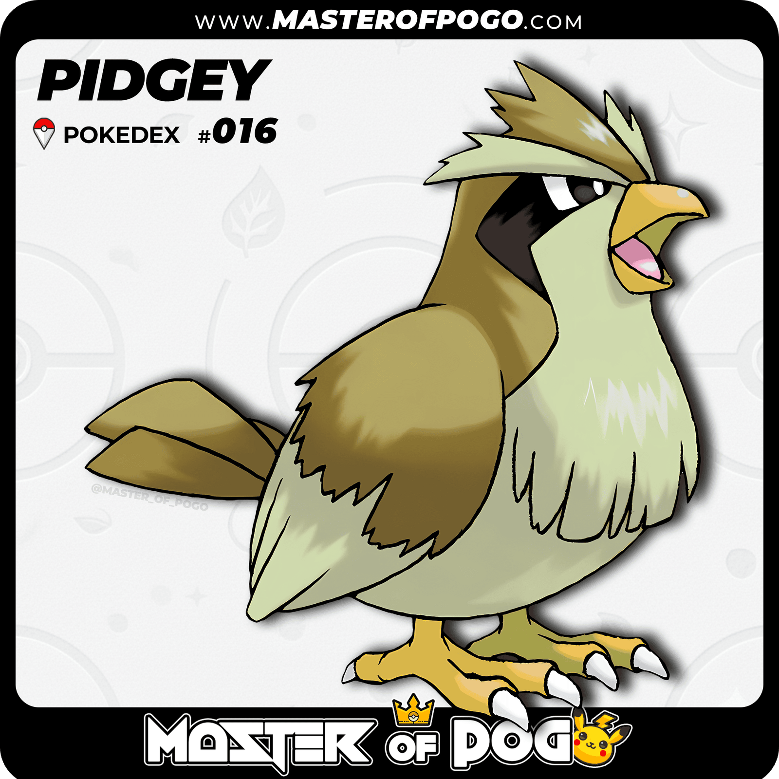 WEB-POKEMON-016-S-1.png