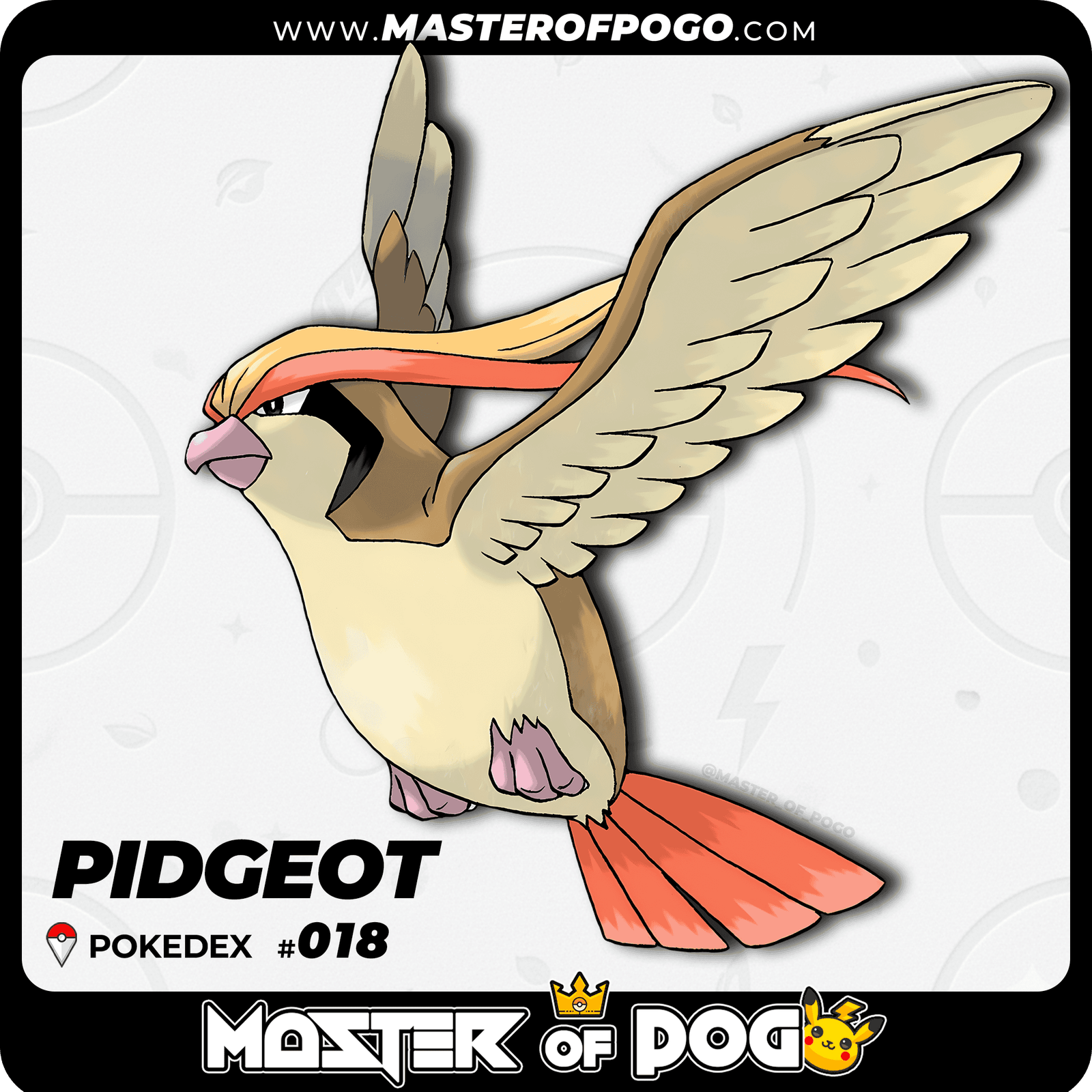 WEB-POKEMON-018-1.png