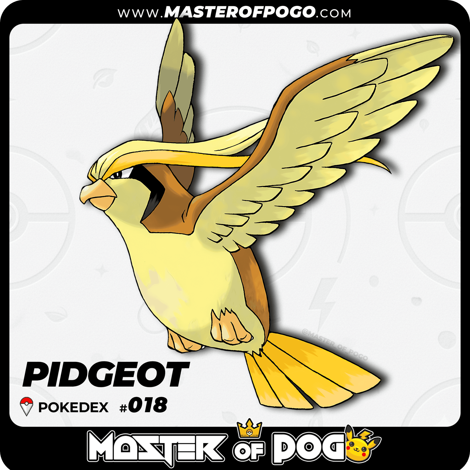 WEB-POKEMON-018-S-1.png