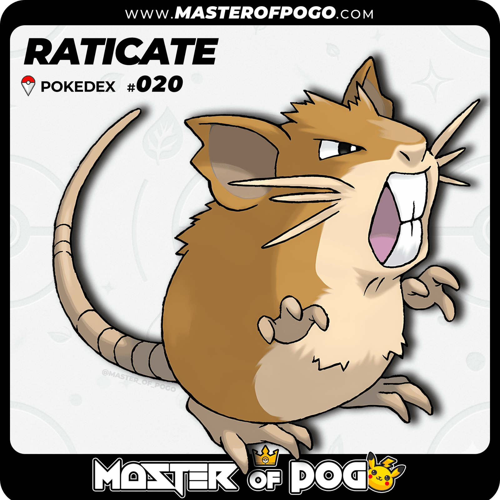 WEB-POKEMON-020-1.png