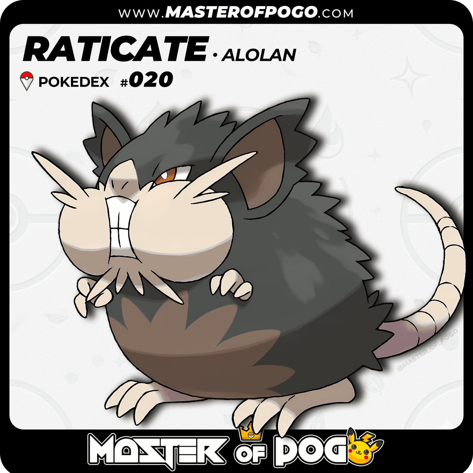 WEB-POKEMON-020-ALO-1.png
