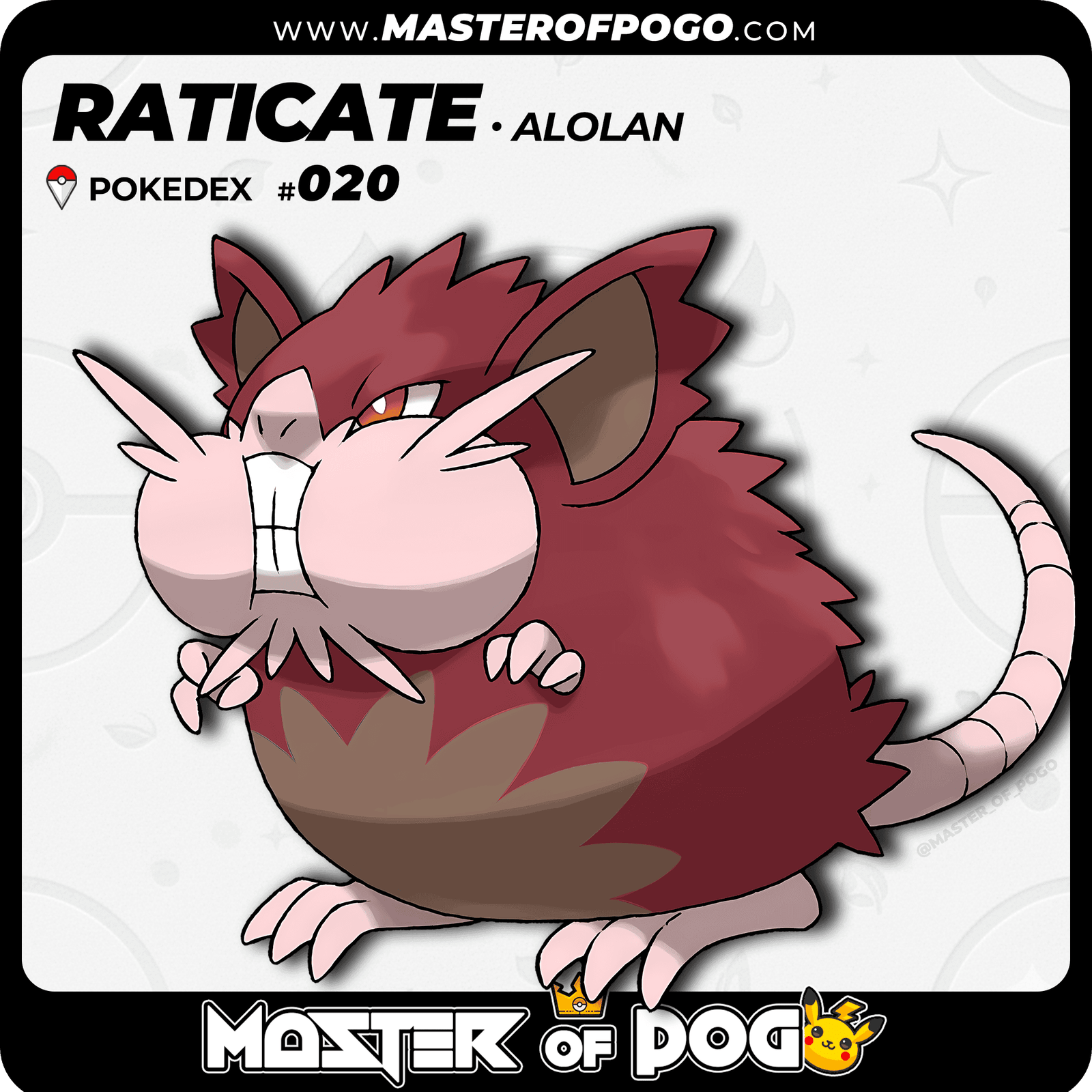 WEB-POKEMON-020-ALO-S-1.png