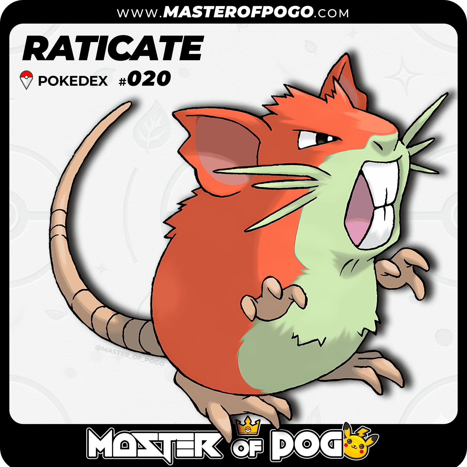 WEB-POKEMON-020-S-1.png