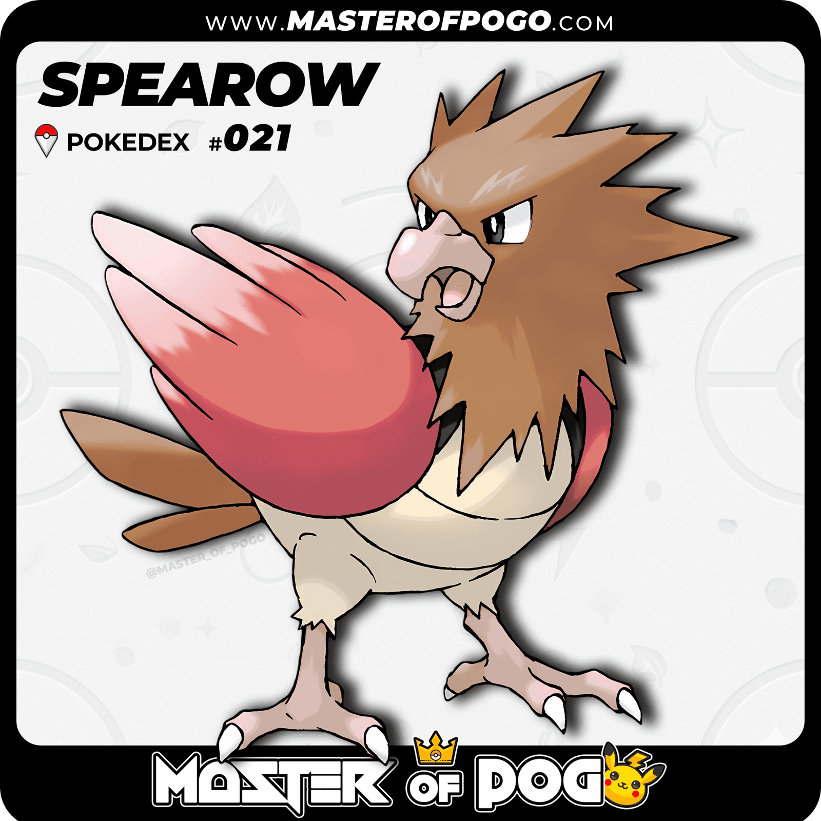 WEB-POKEMON-021-1.png