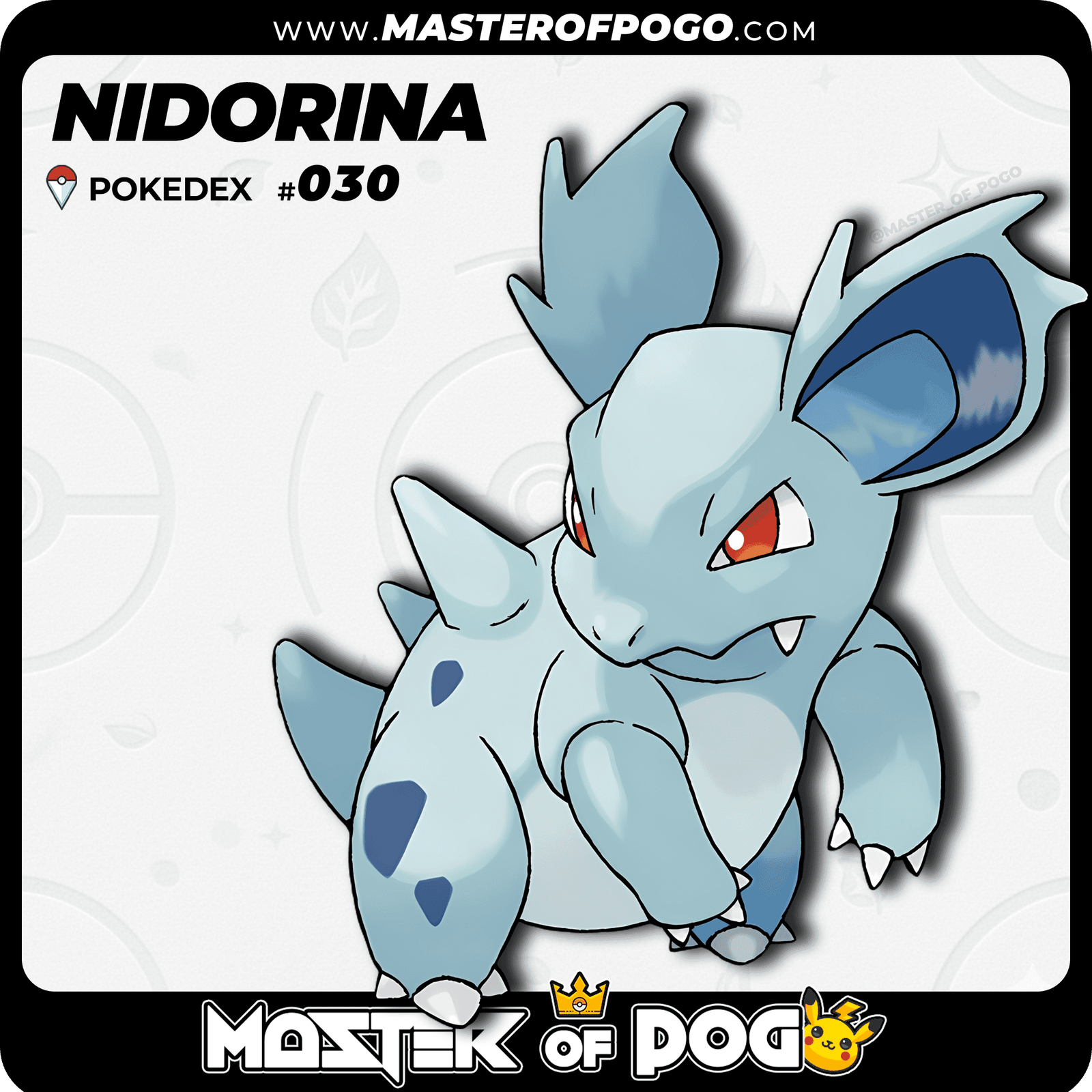 WEB-POKEMON-030-1.png