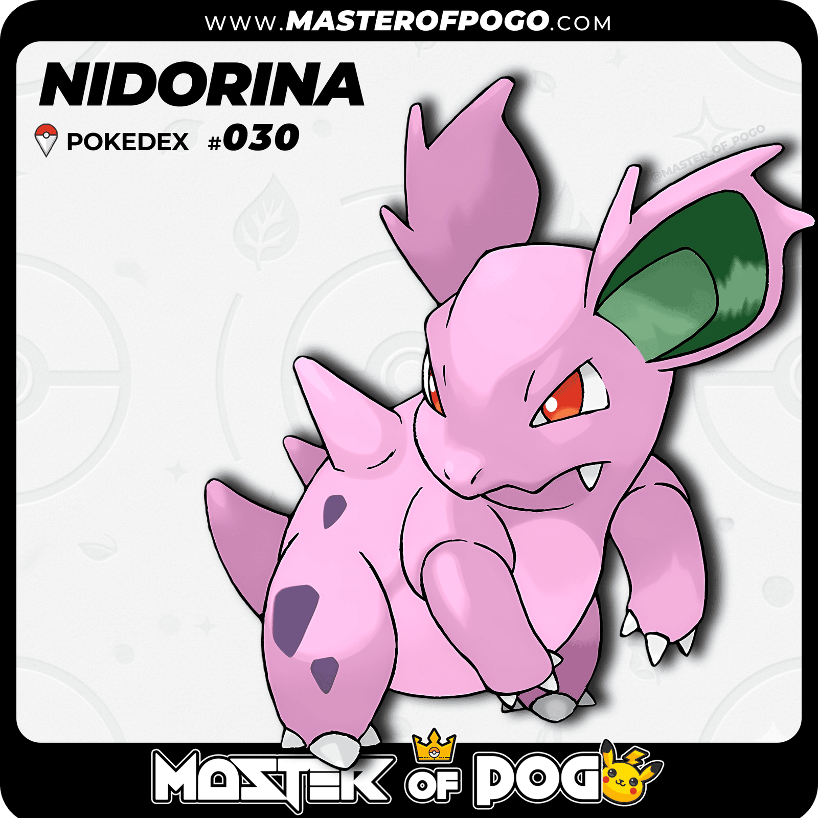 WEB-POKEMON-030-S-1.png