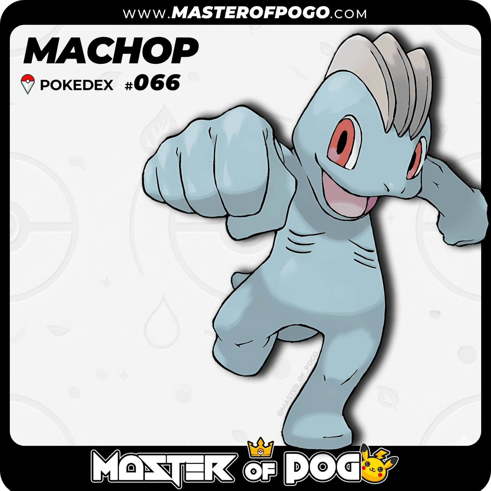 WEB-POKEMON-066-1.png