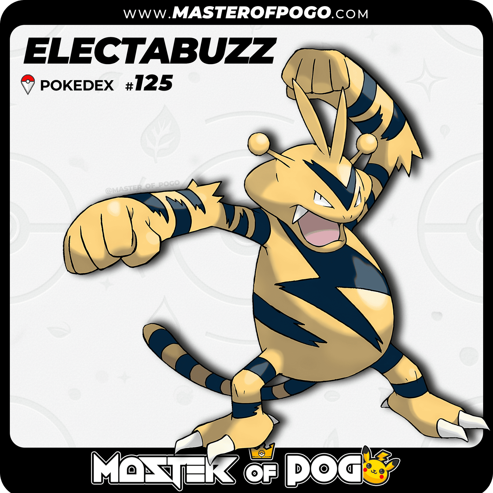 WEB-POKEMON-125-1.png
