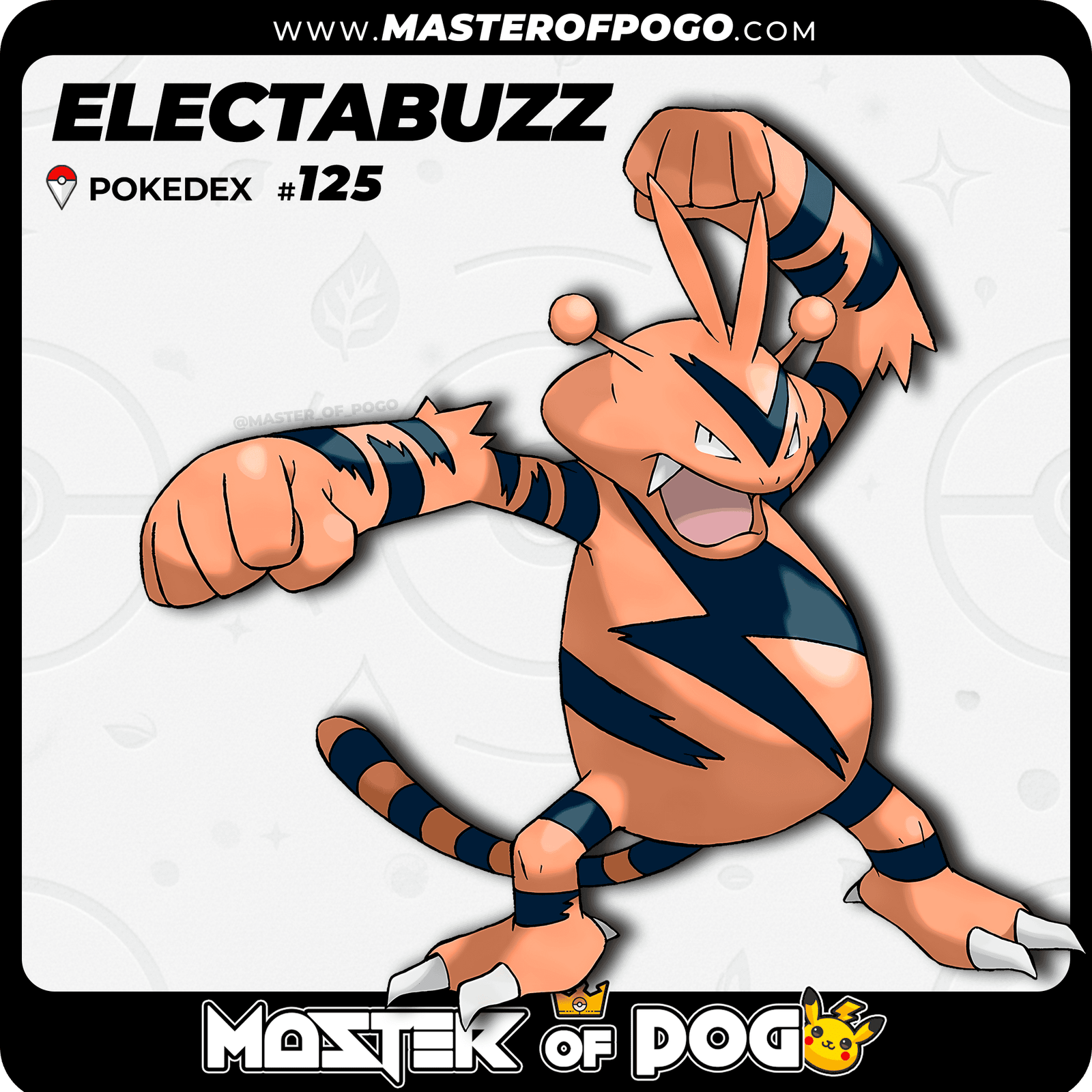 WEB-POKEMON-125-S-1.png