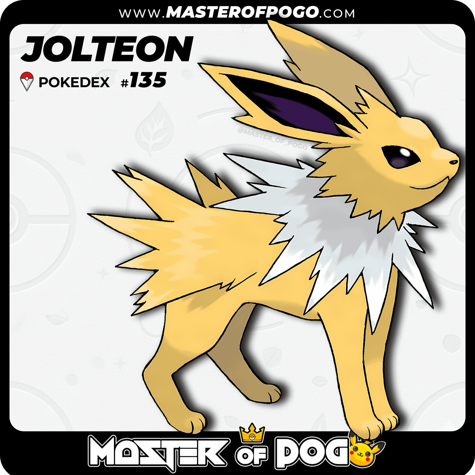 WEB-POKEMON-135-1.png