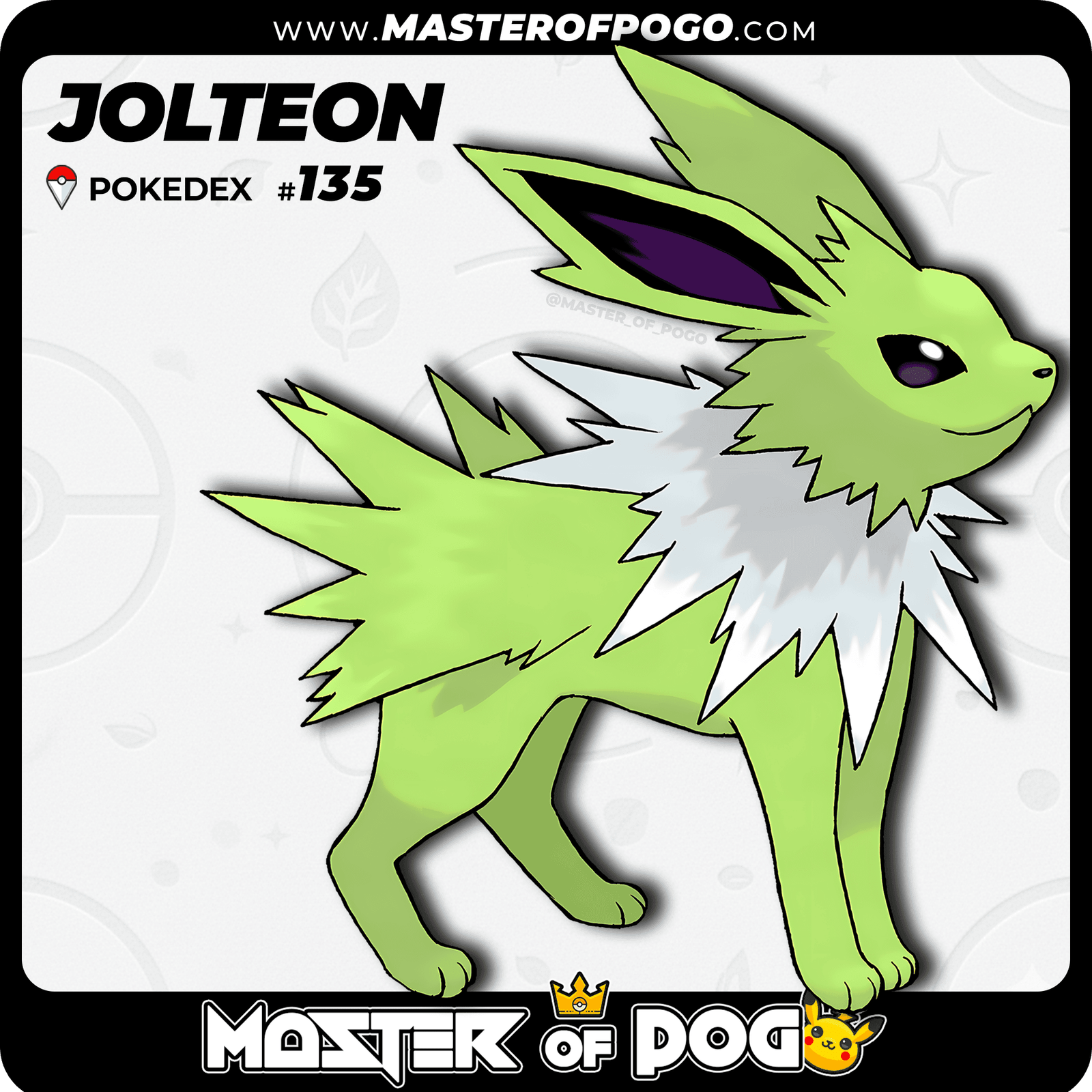 WEB-POKEMON-135-S-1.png