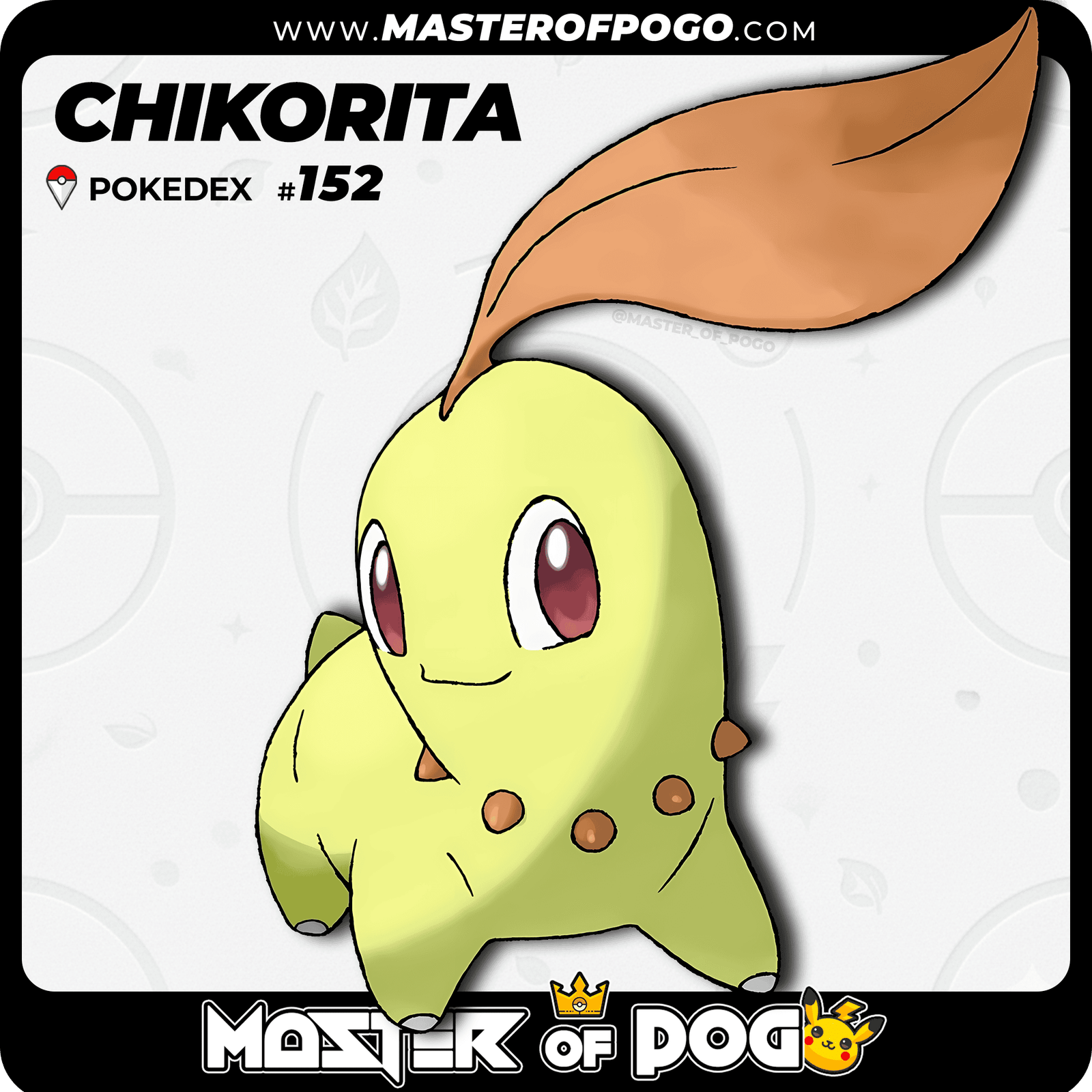 WEB-POKEMON-152-S-1.png