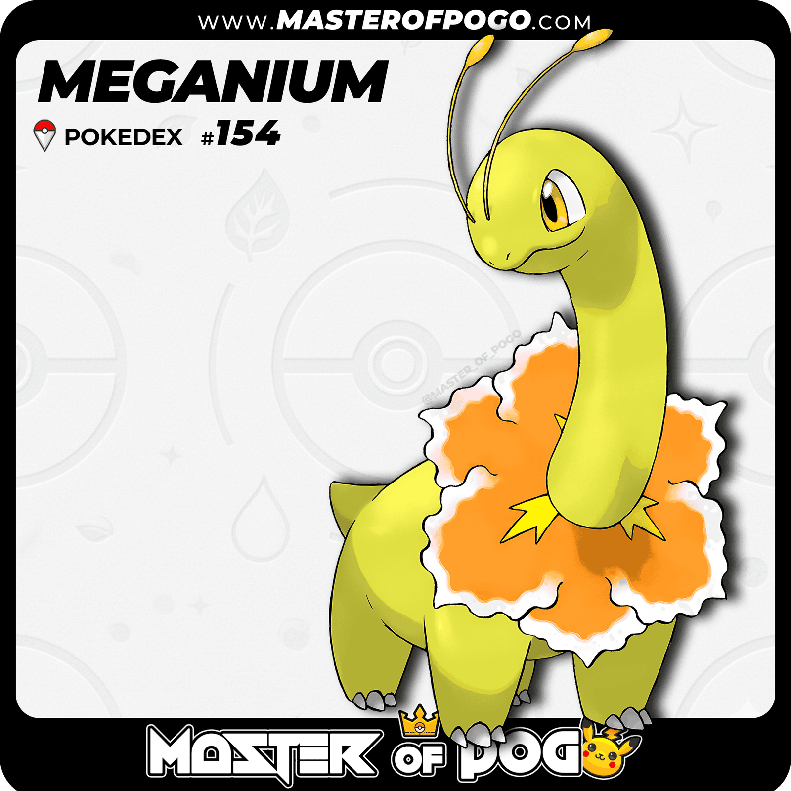 WEB-POKEMON-154-S-1.png