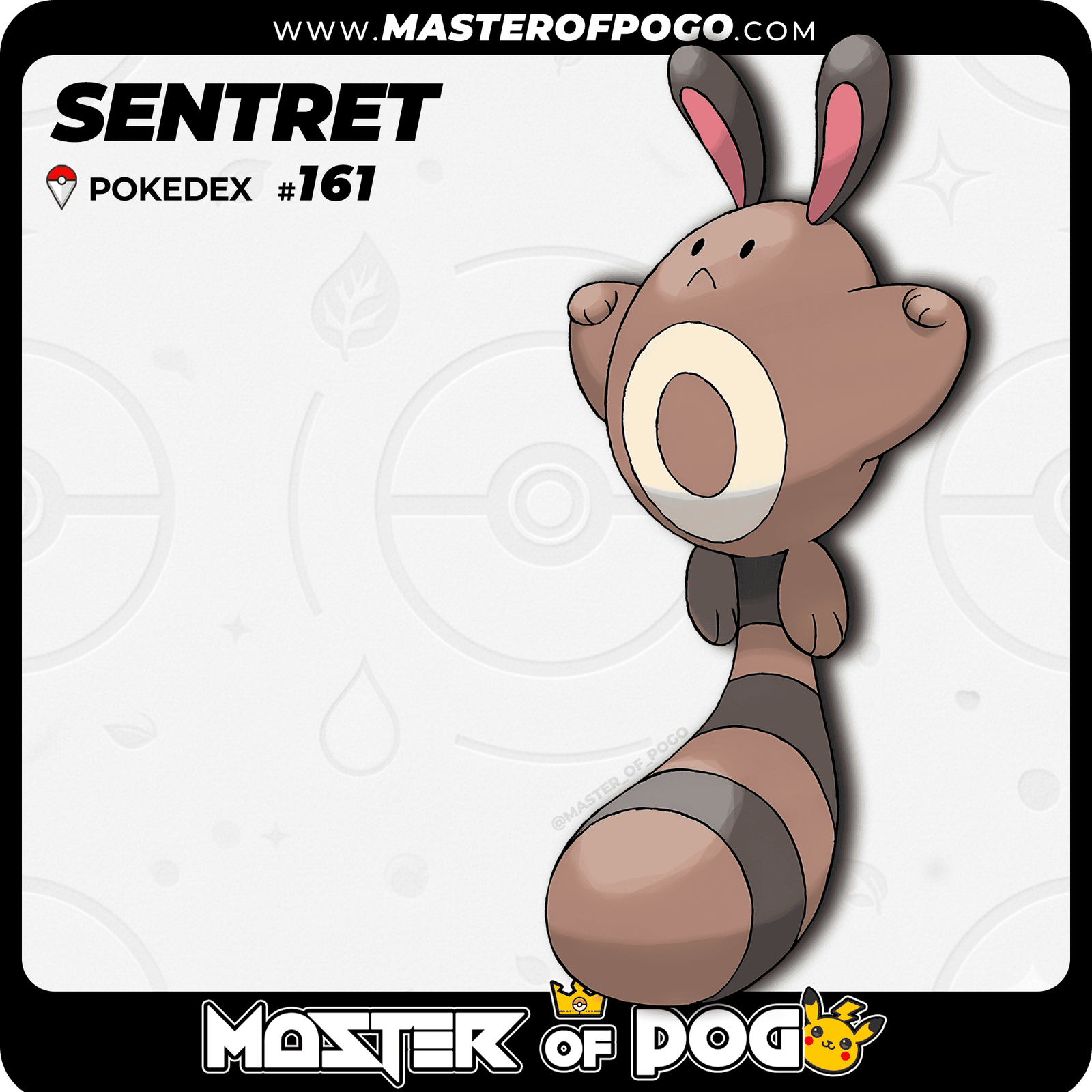 WEB POKEMON - 161