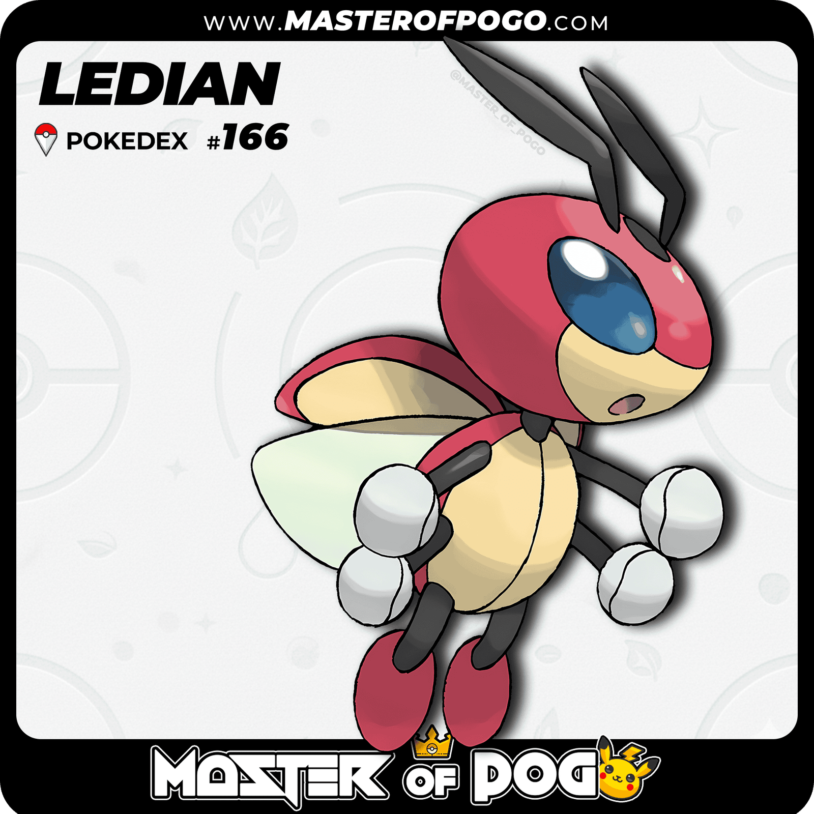 WEB-POKEMON-166-1.png