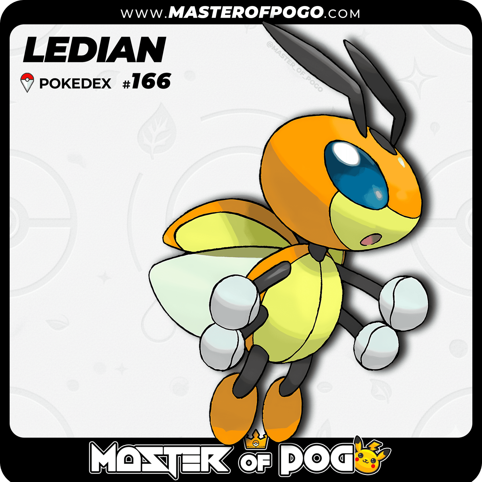 WEB-POKEMON-166-S-1.png