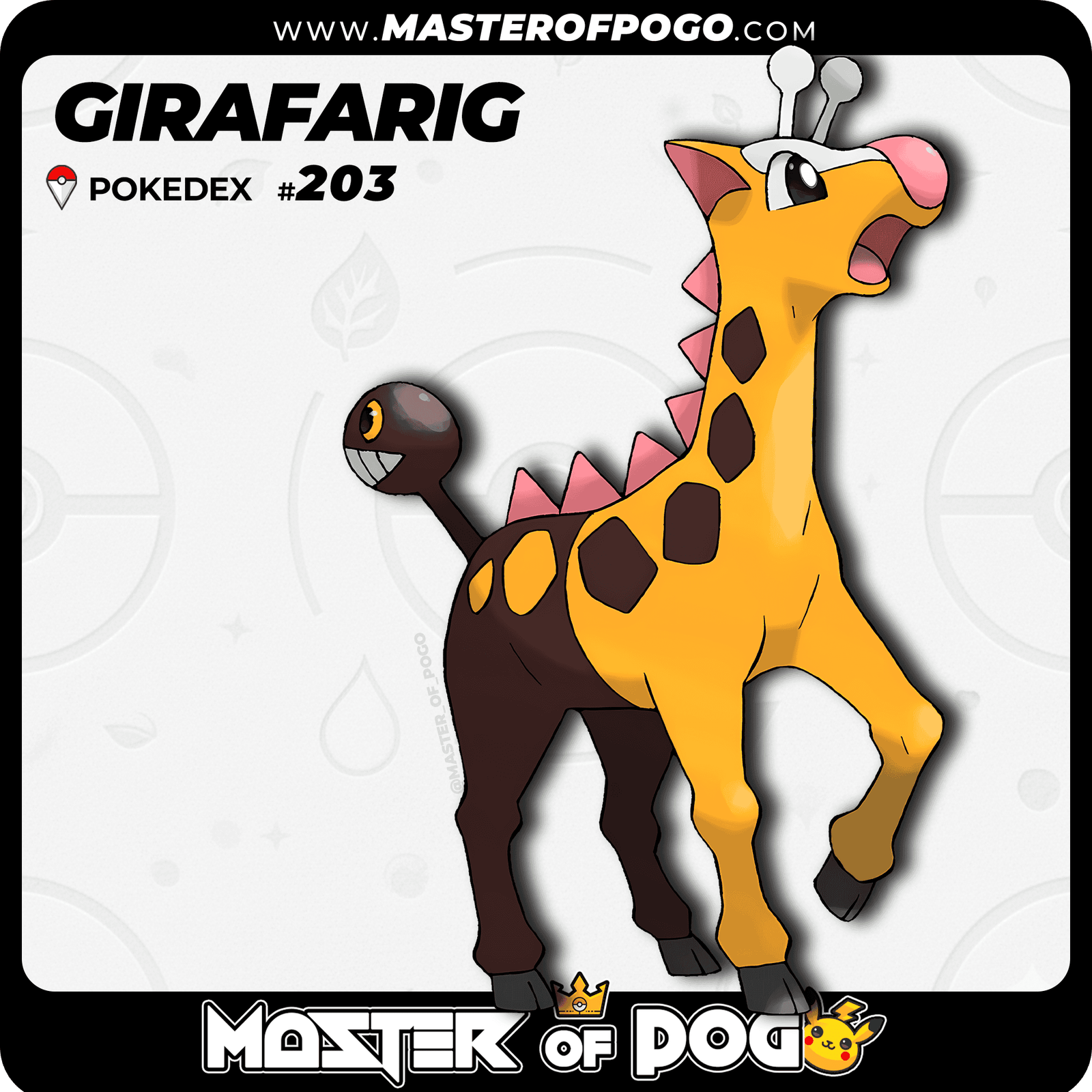 WEB-POKEMON-203-1.png