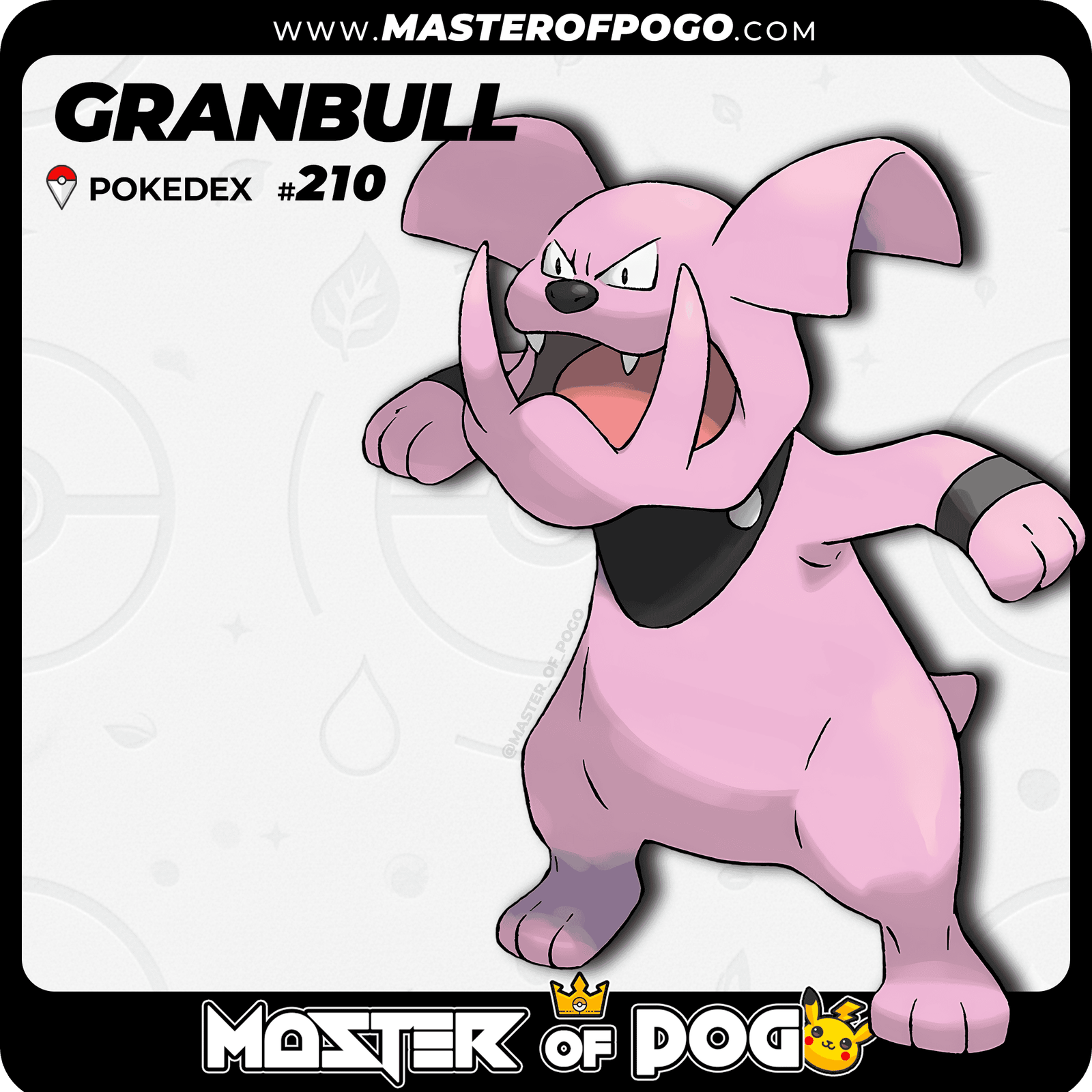 WEB-POKEMON-210-1.png