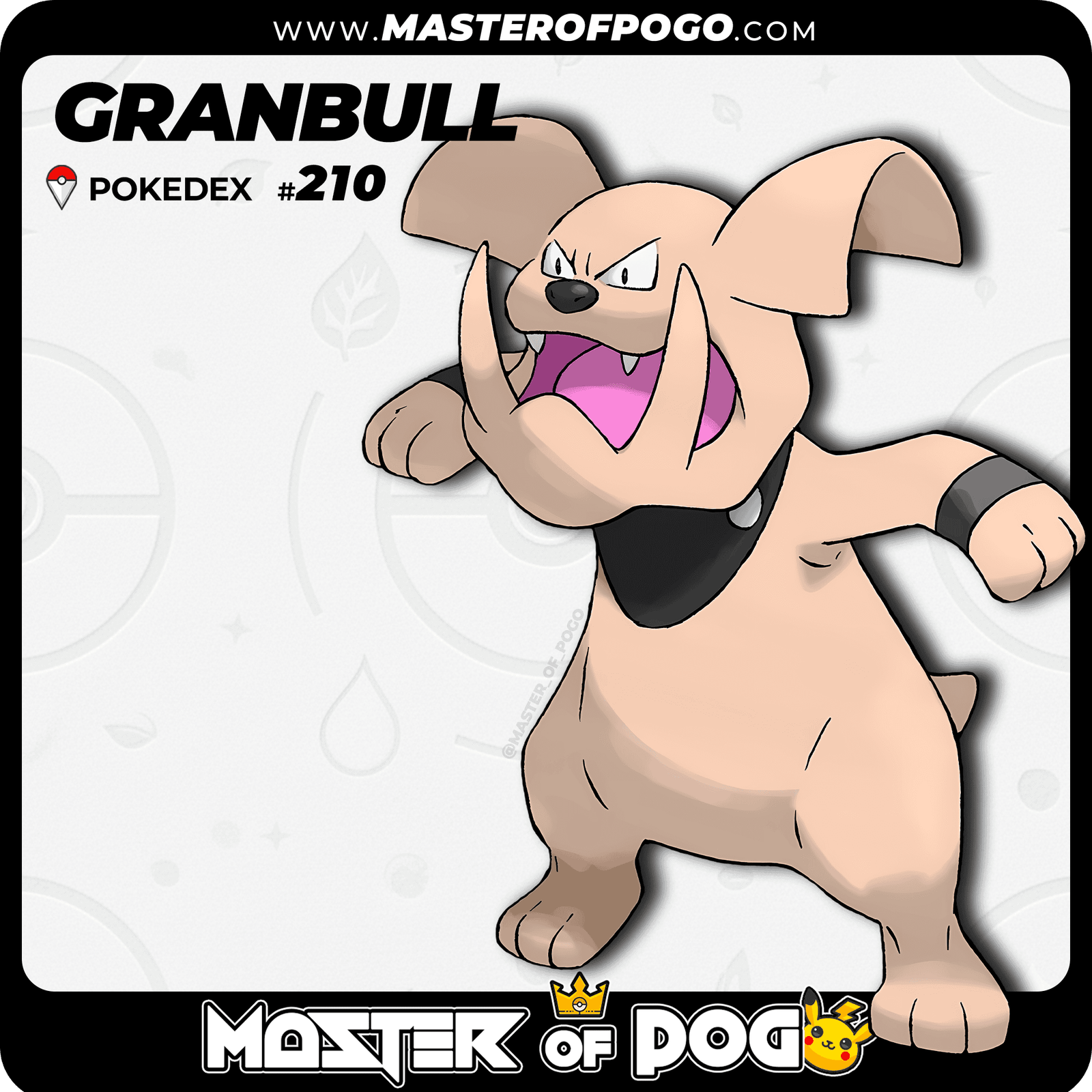 WEB-POKEMON-210-S-1.png