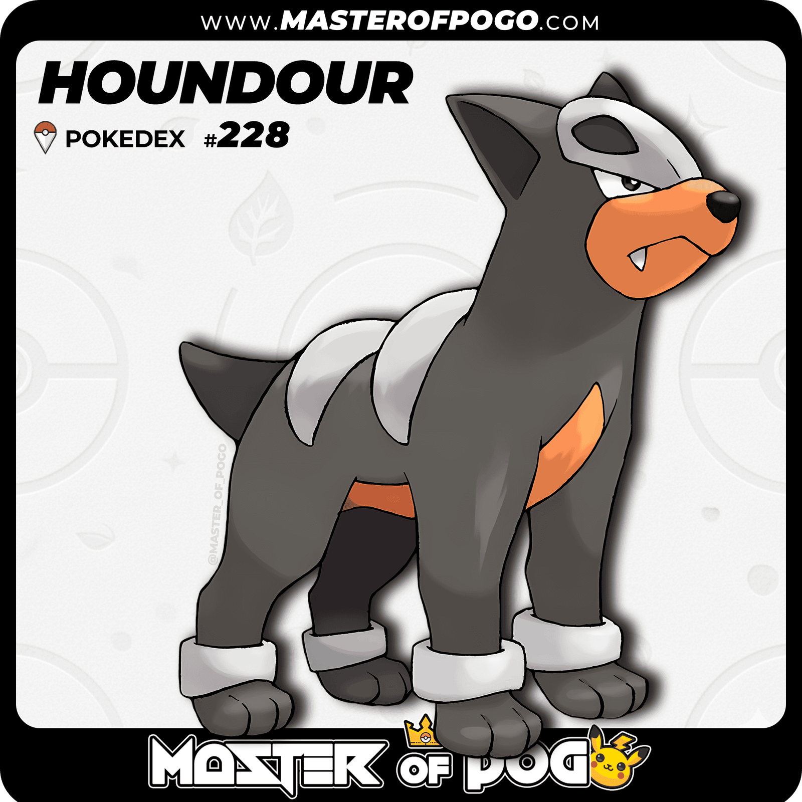 WEB-POKEMON-228-1.png