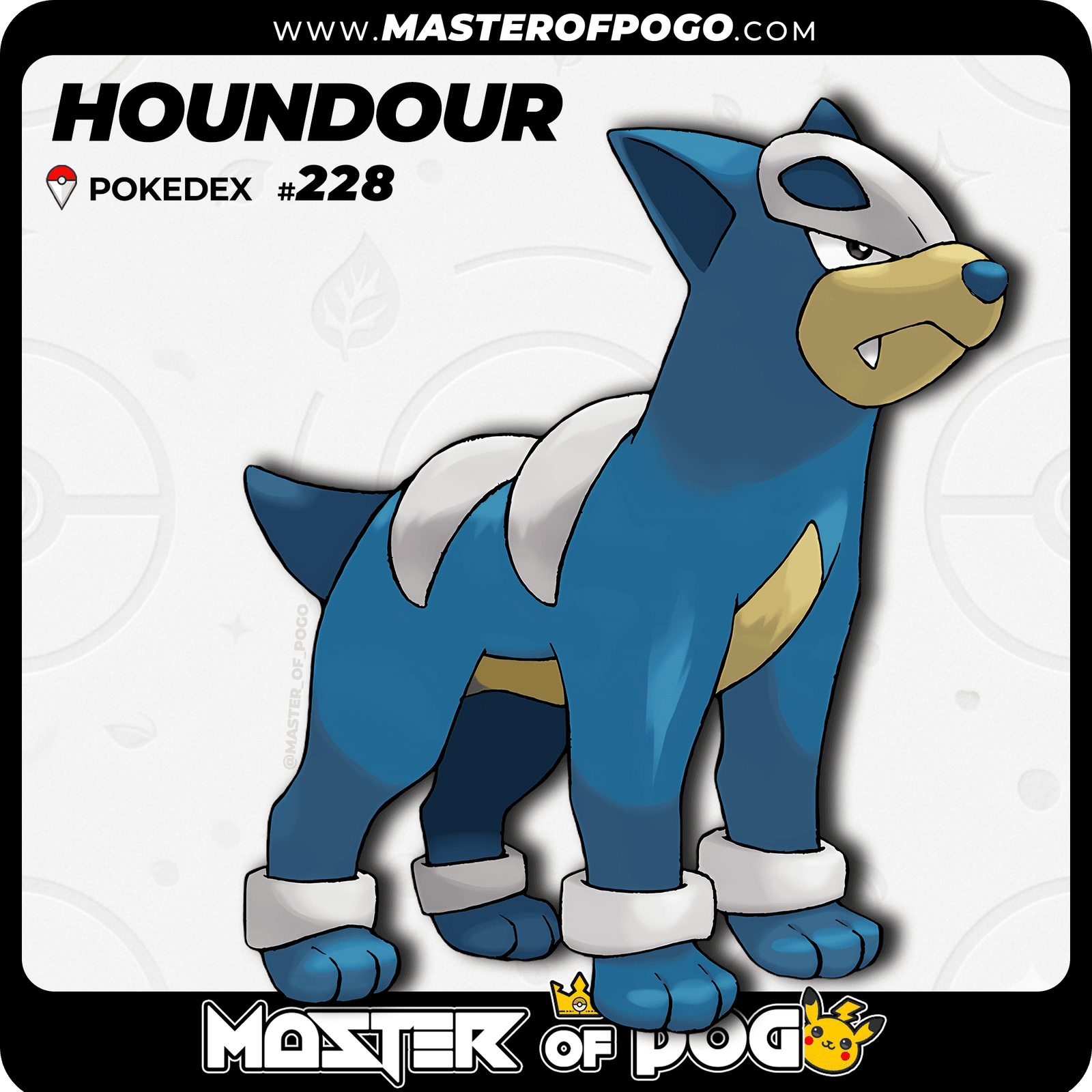 WEB-POKEMON-228-S-1.png