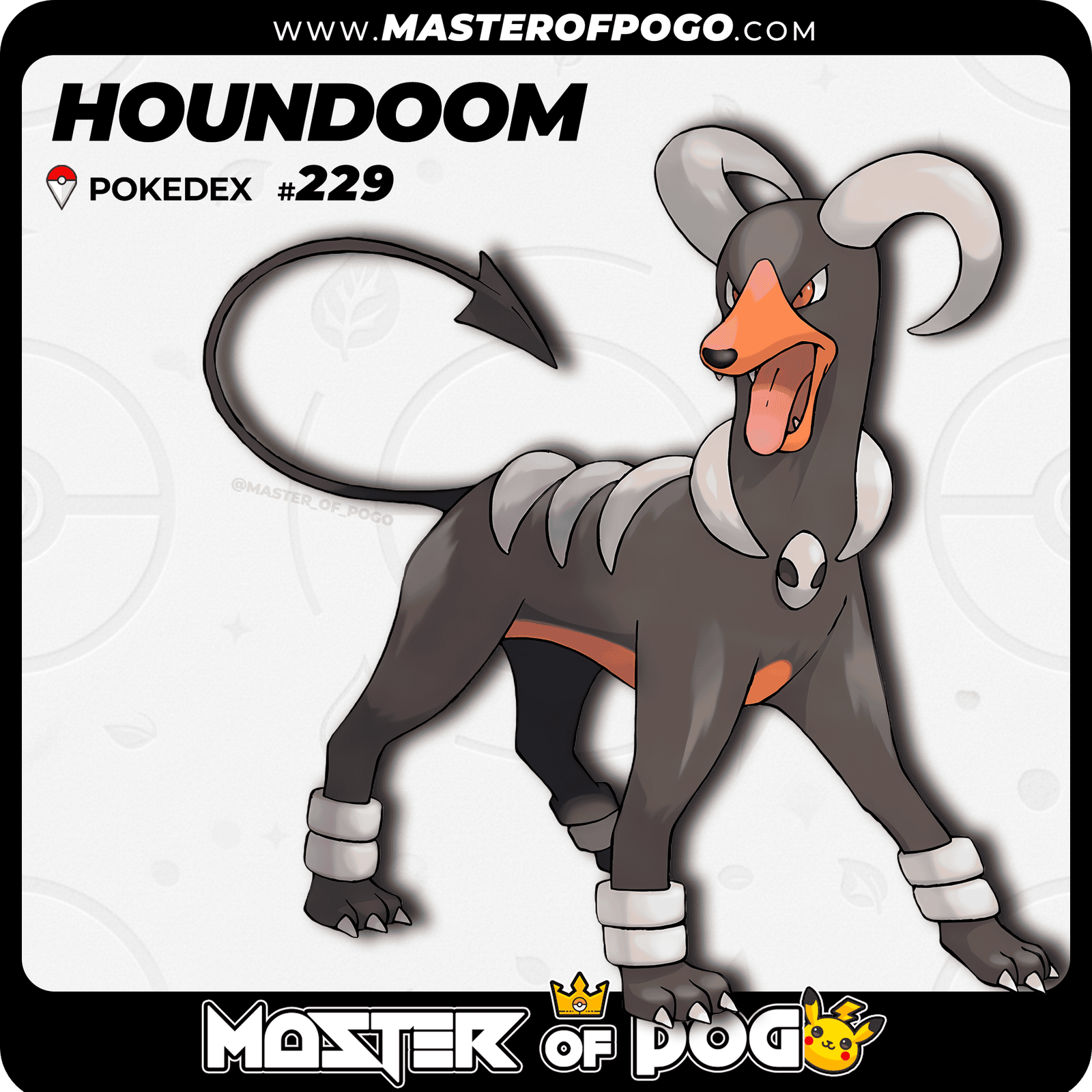 WEB-POKEMON-229-1.png