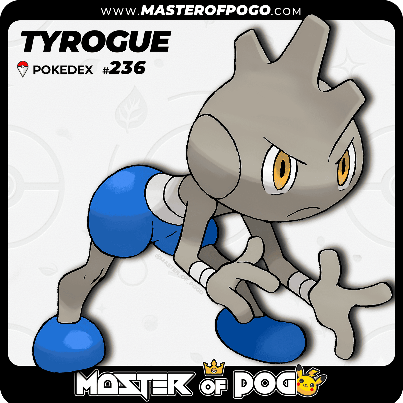 WEB-POKEMON-236-S-1.png