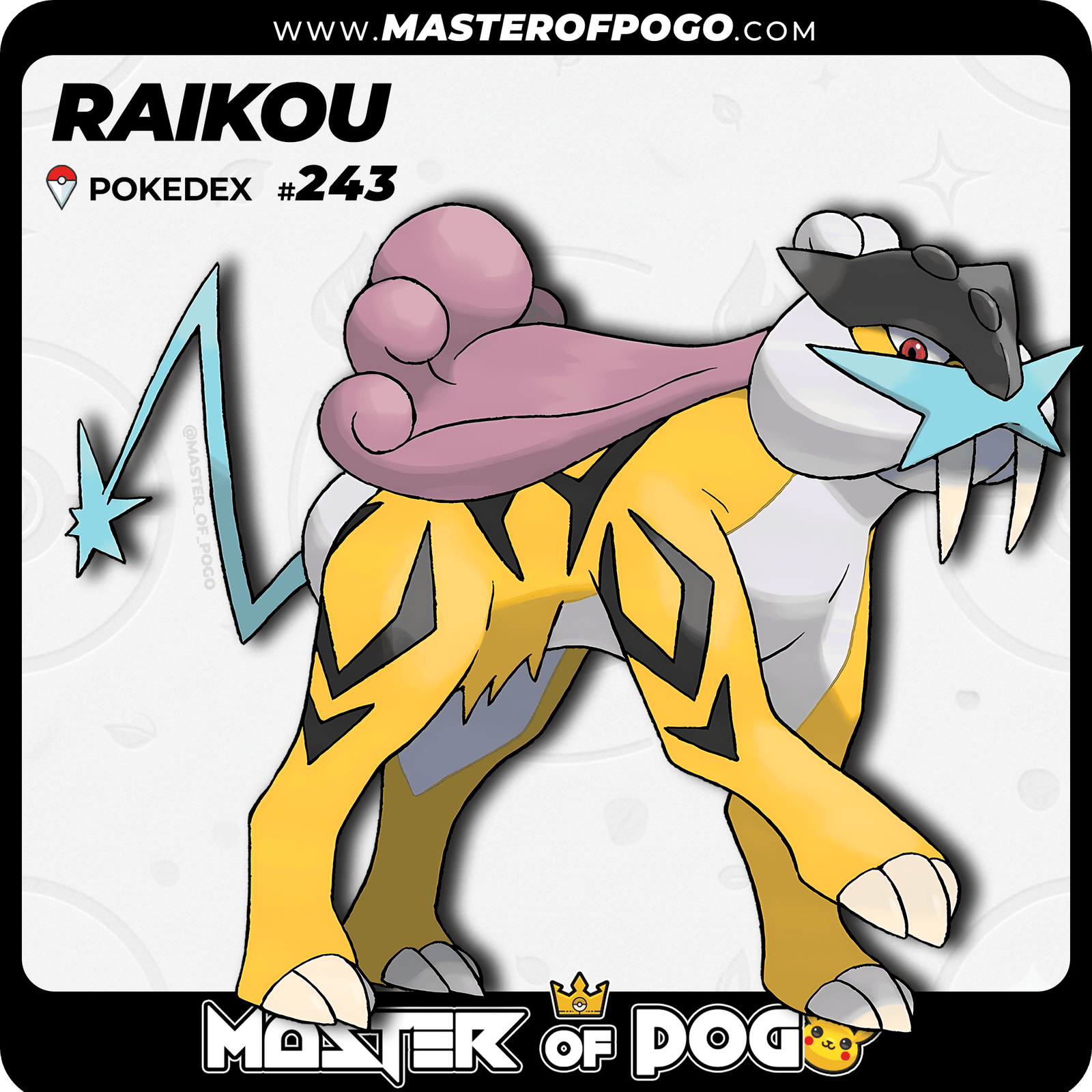 WEB-POKEMON-243-1.png