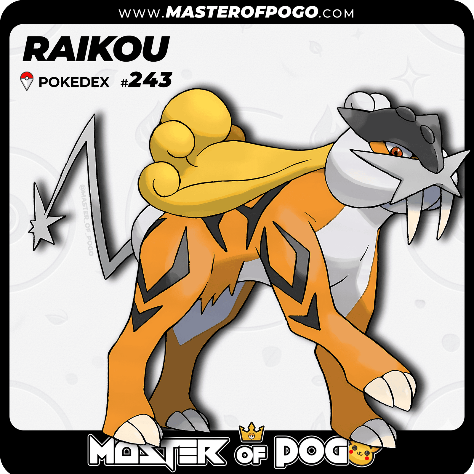 WEB-POKEMON-243-S-1.png
