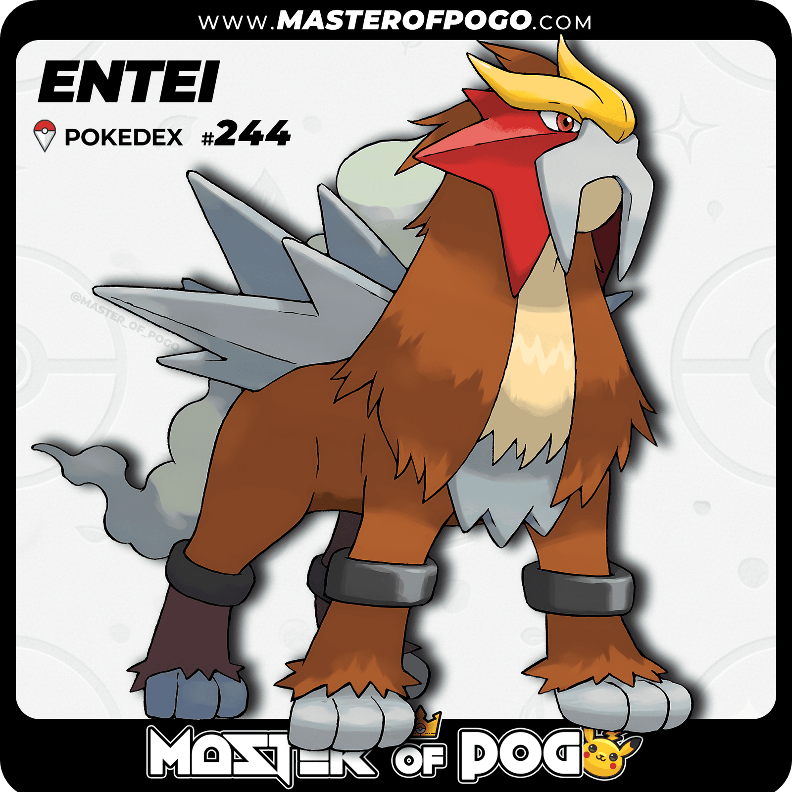 WEB-POKEMON-244-1.png