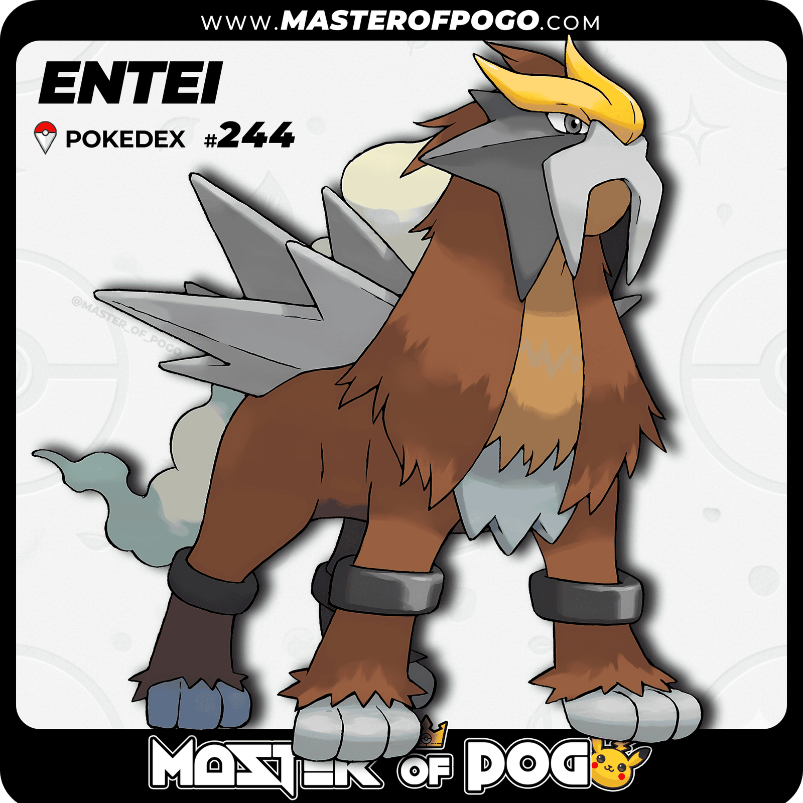 WEB-POKEMON-244-S-1.png