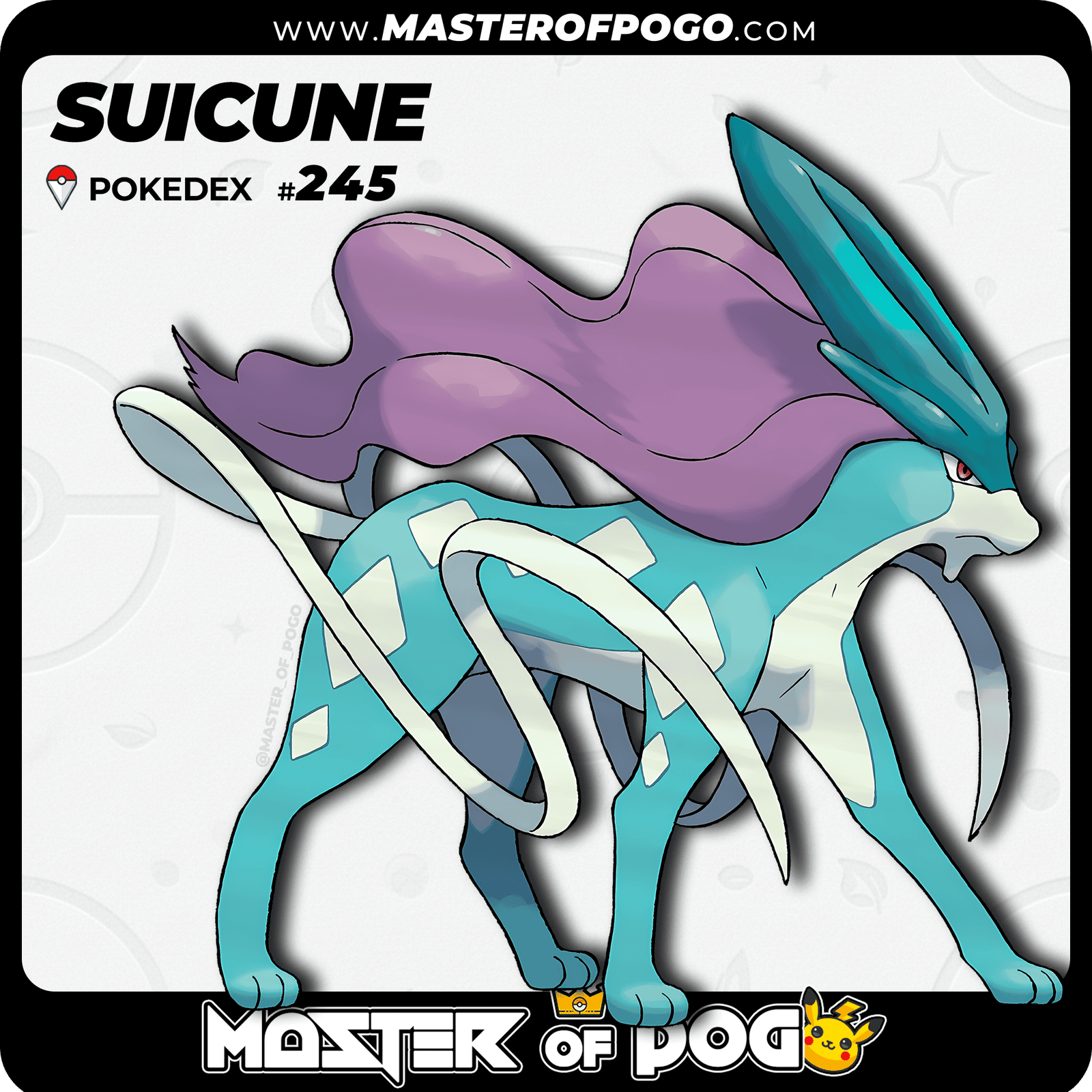 WEB-POKEMON-245-1.png