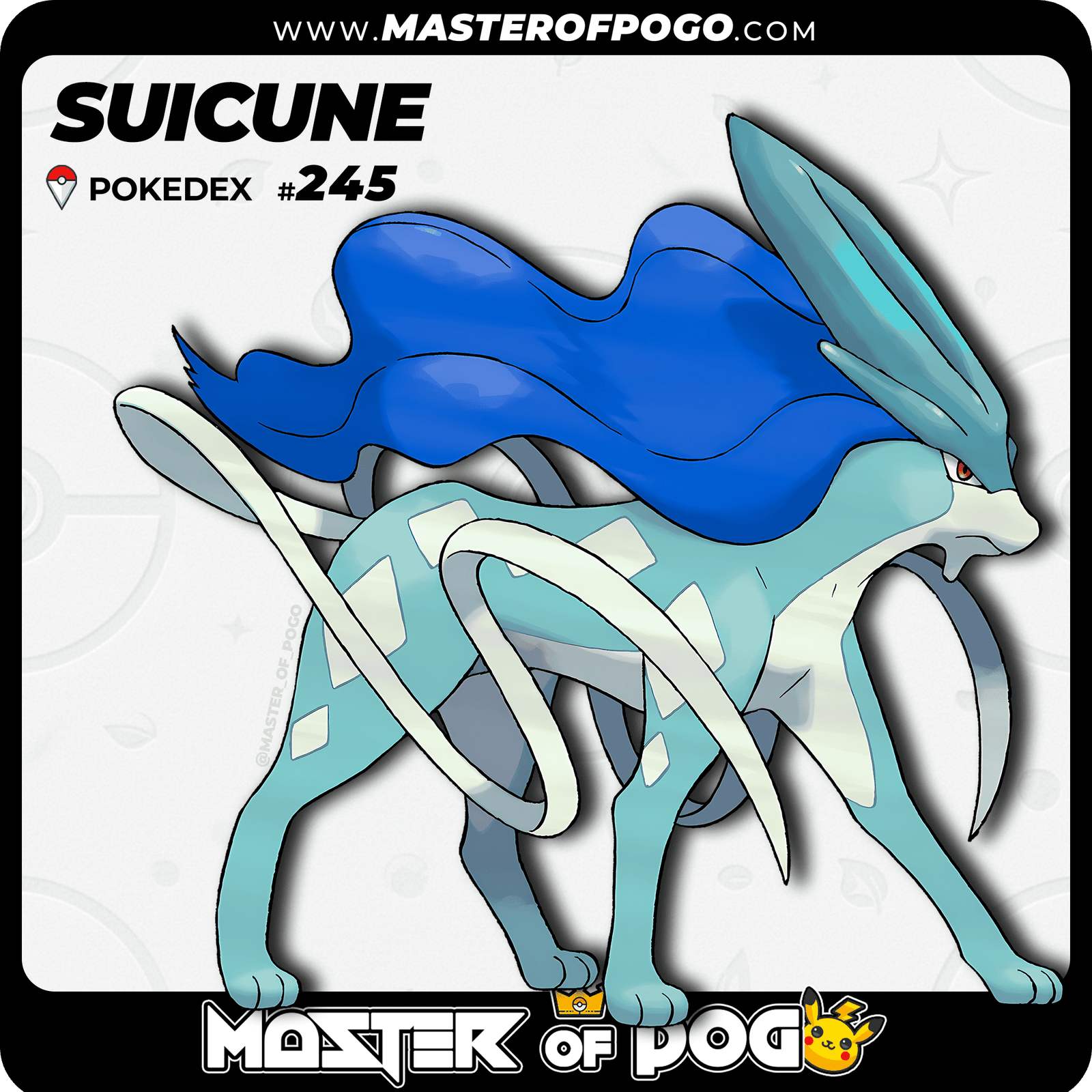 WEB-POKEMON-245-S-1.png