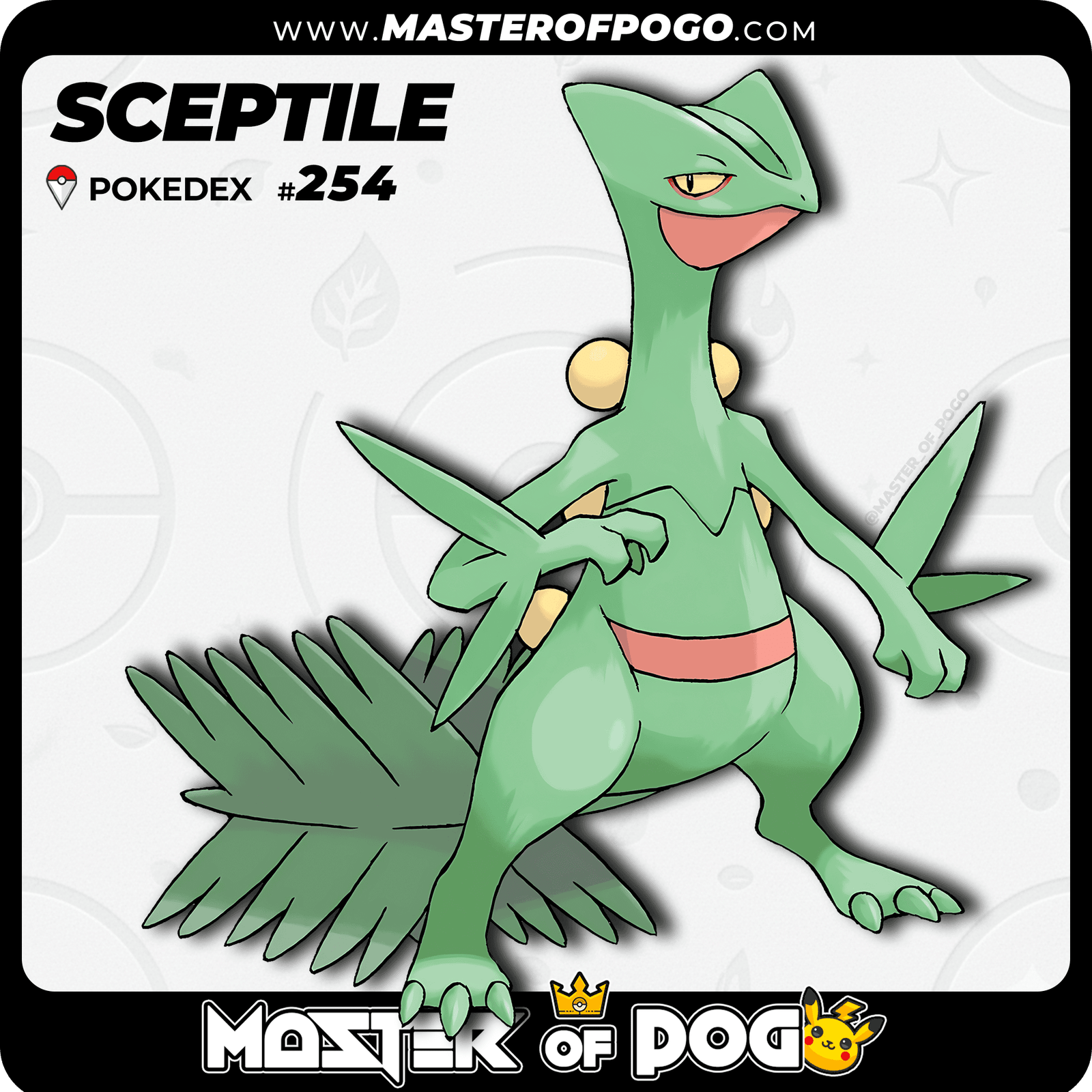 WEB-POKEMON-254-1.png