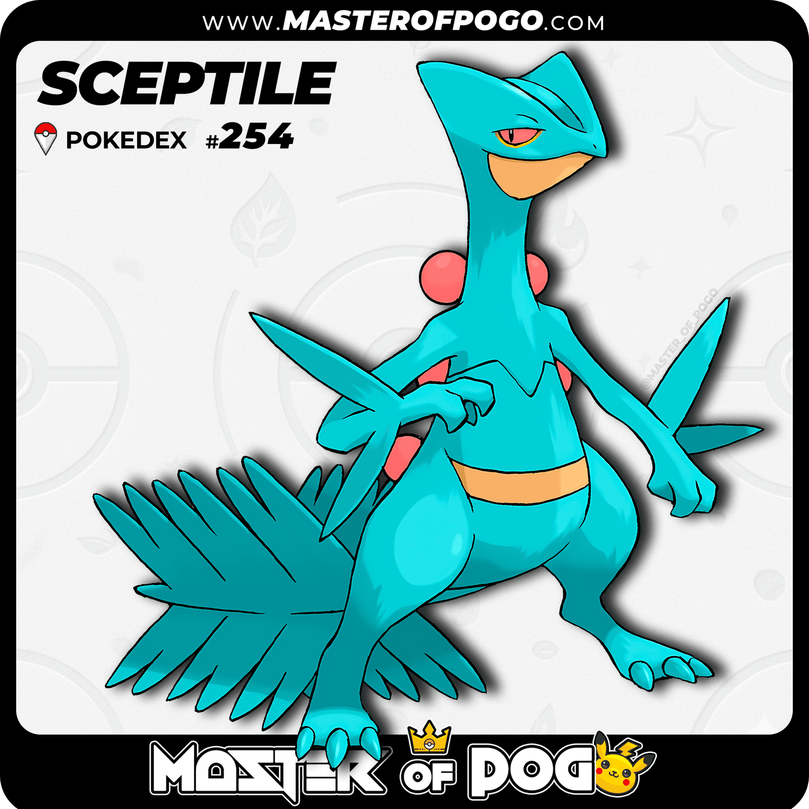 WEB-POKEMON-254-S-1.png