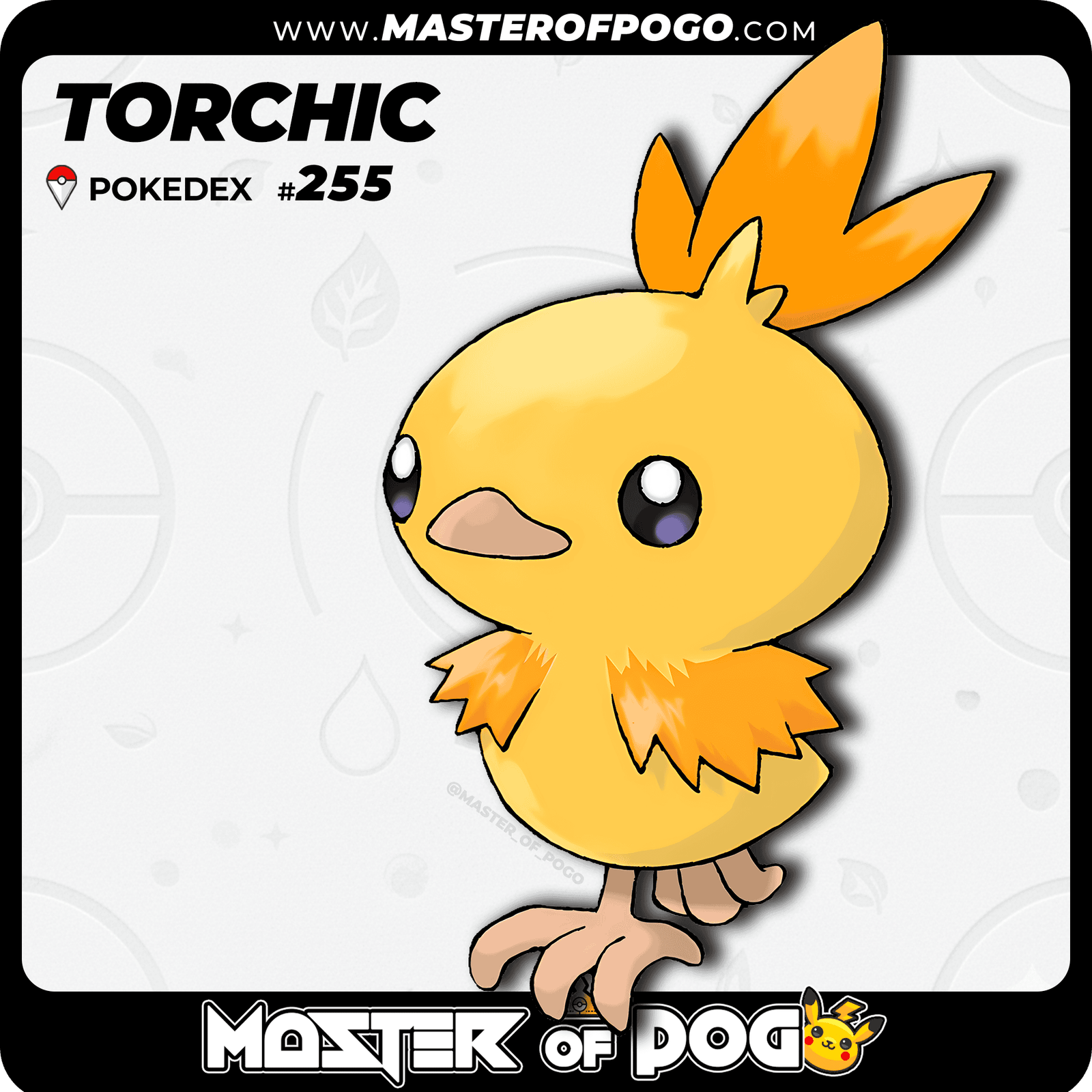 WEB-POKEMON-255-S-1.png