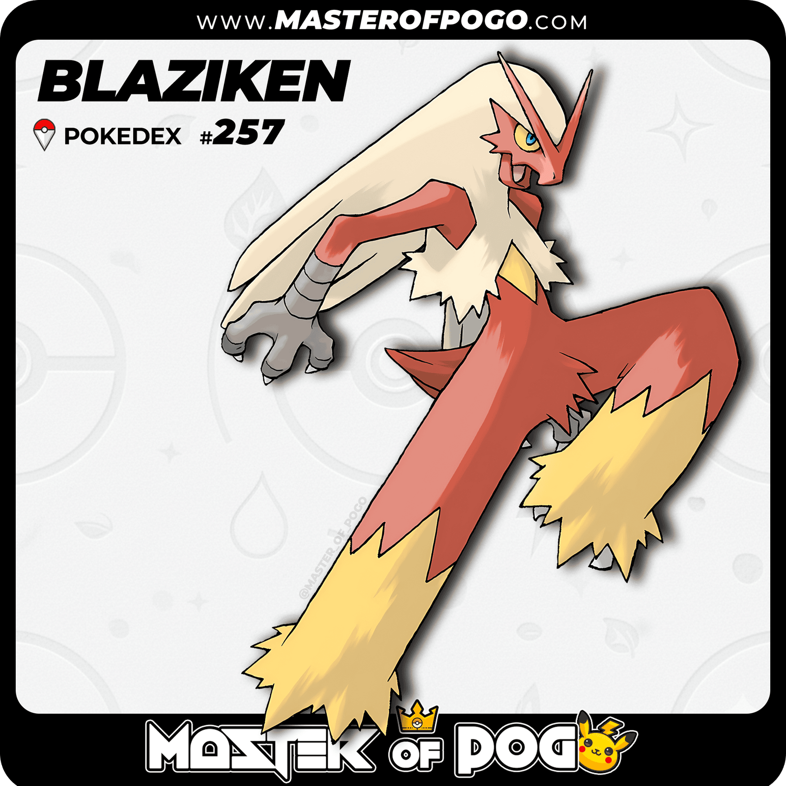 WEB-POKEMON-257-1.png