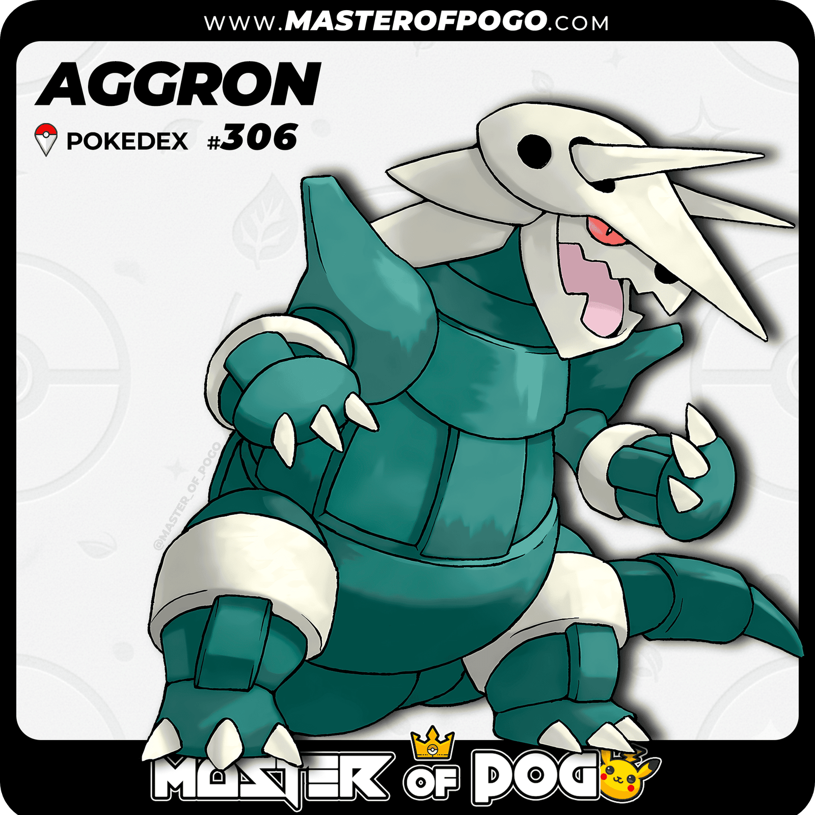 WEB-POKEMON-306-S-1.png