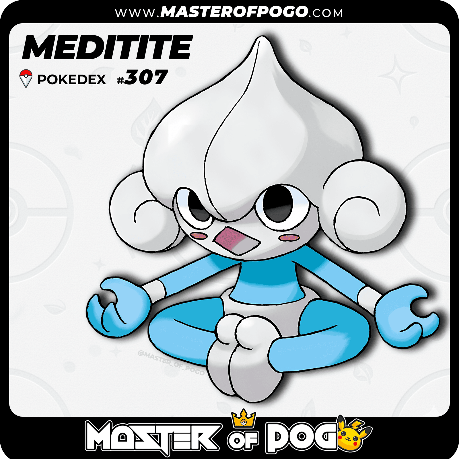 WEB-POKEMON-307-1.png
