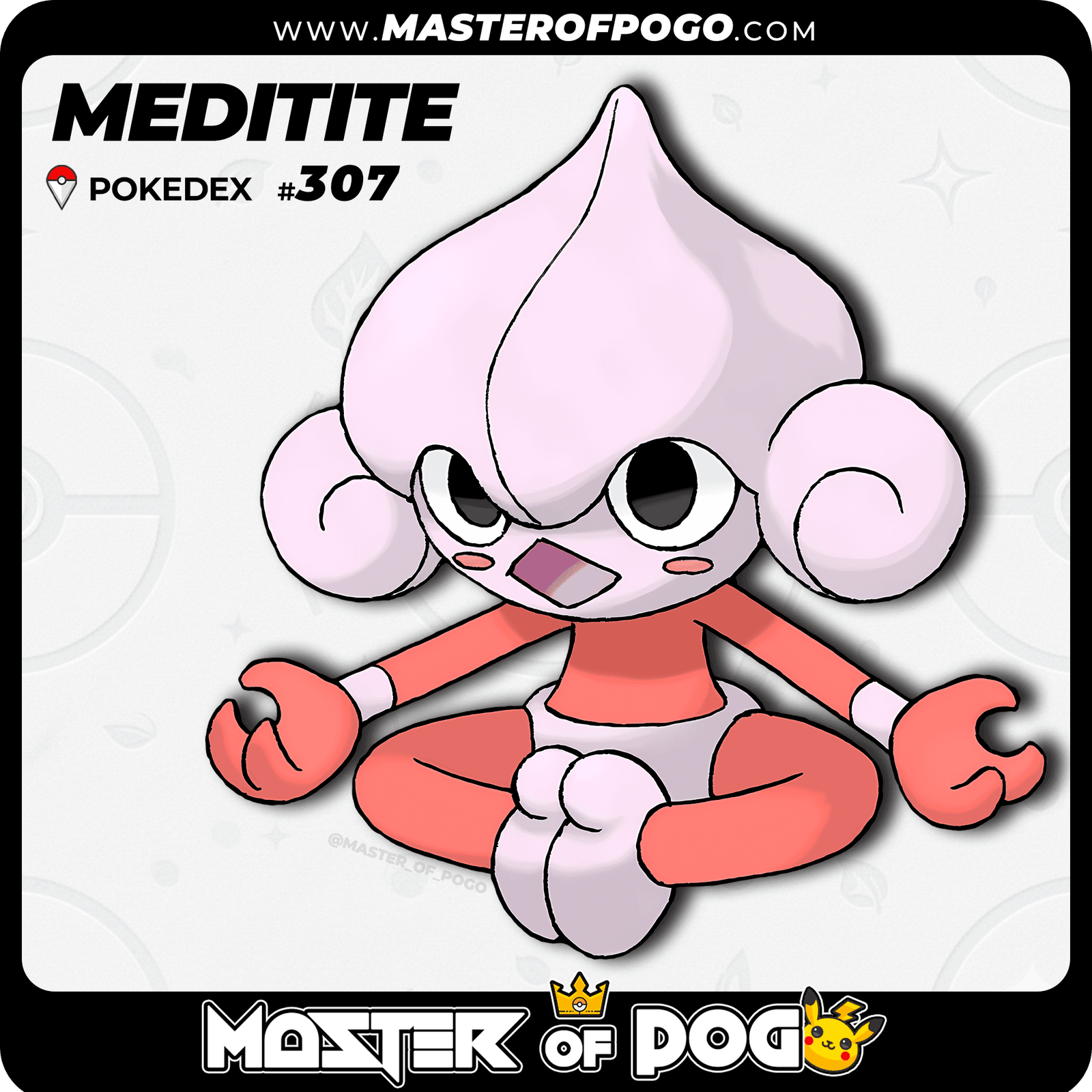 WEB-POKEMON-307-S-1.png