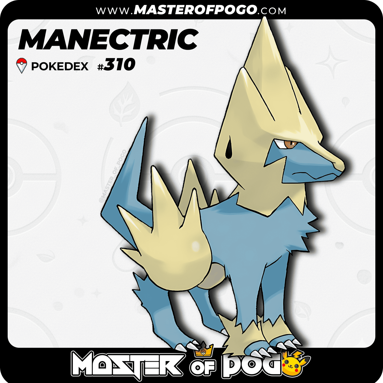 WEB-POKEMON-310-1.png