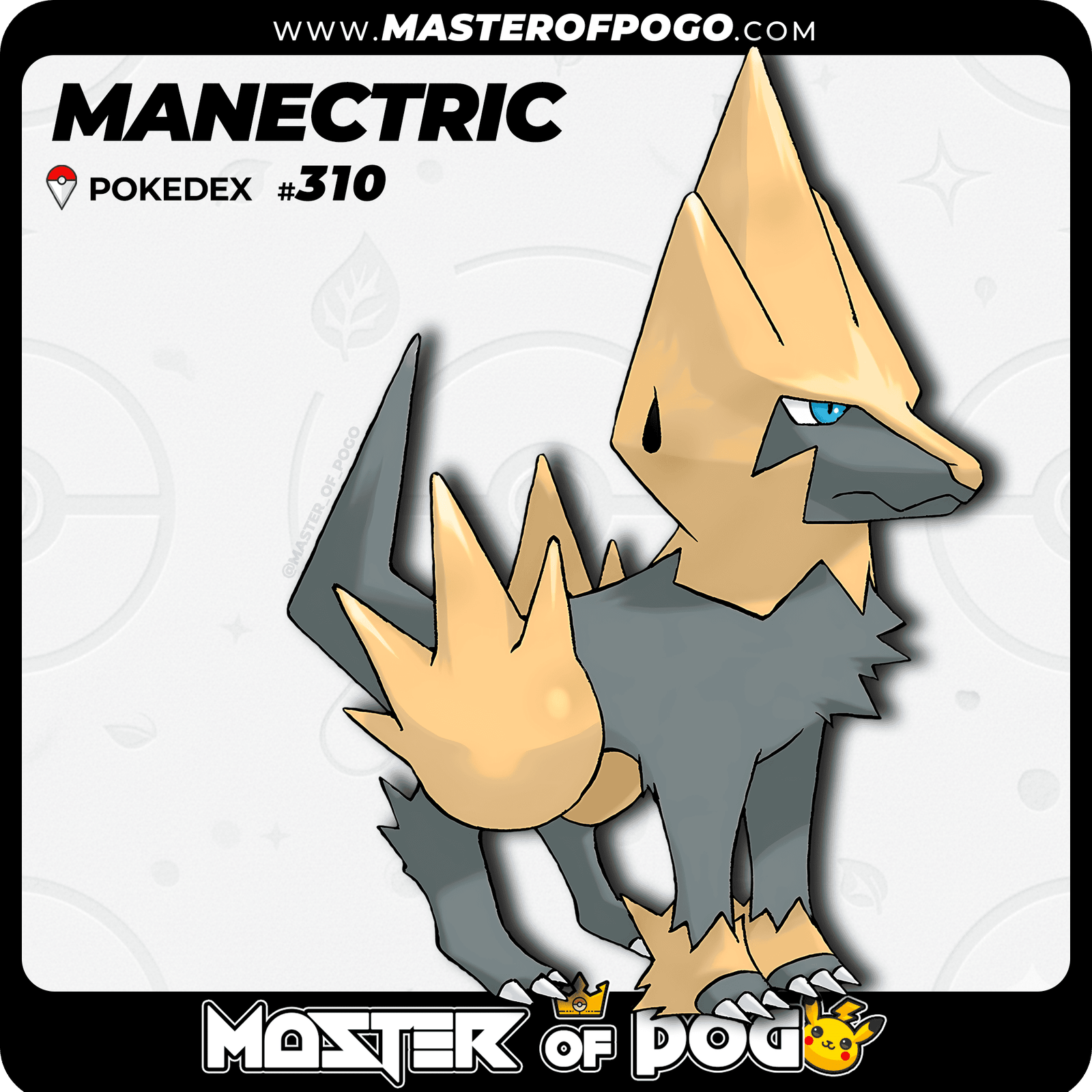 WEB-POKEMON-310-S-1.png