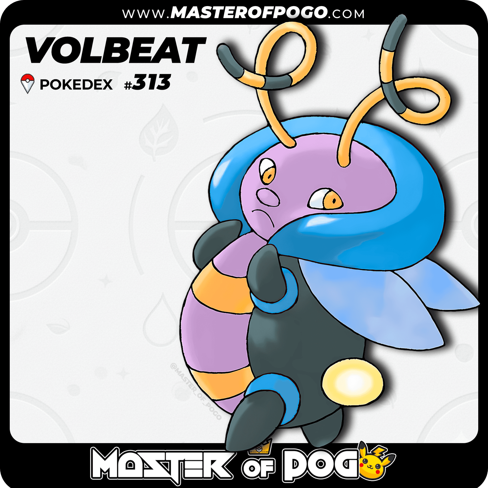 WEB-POKEMON-313-S-1.png
