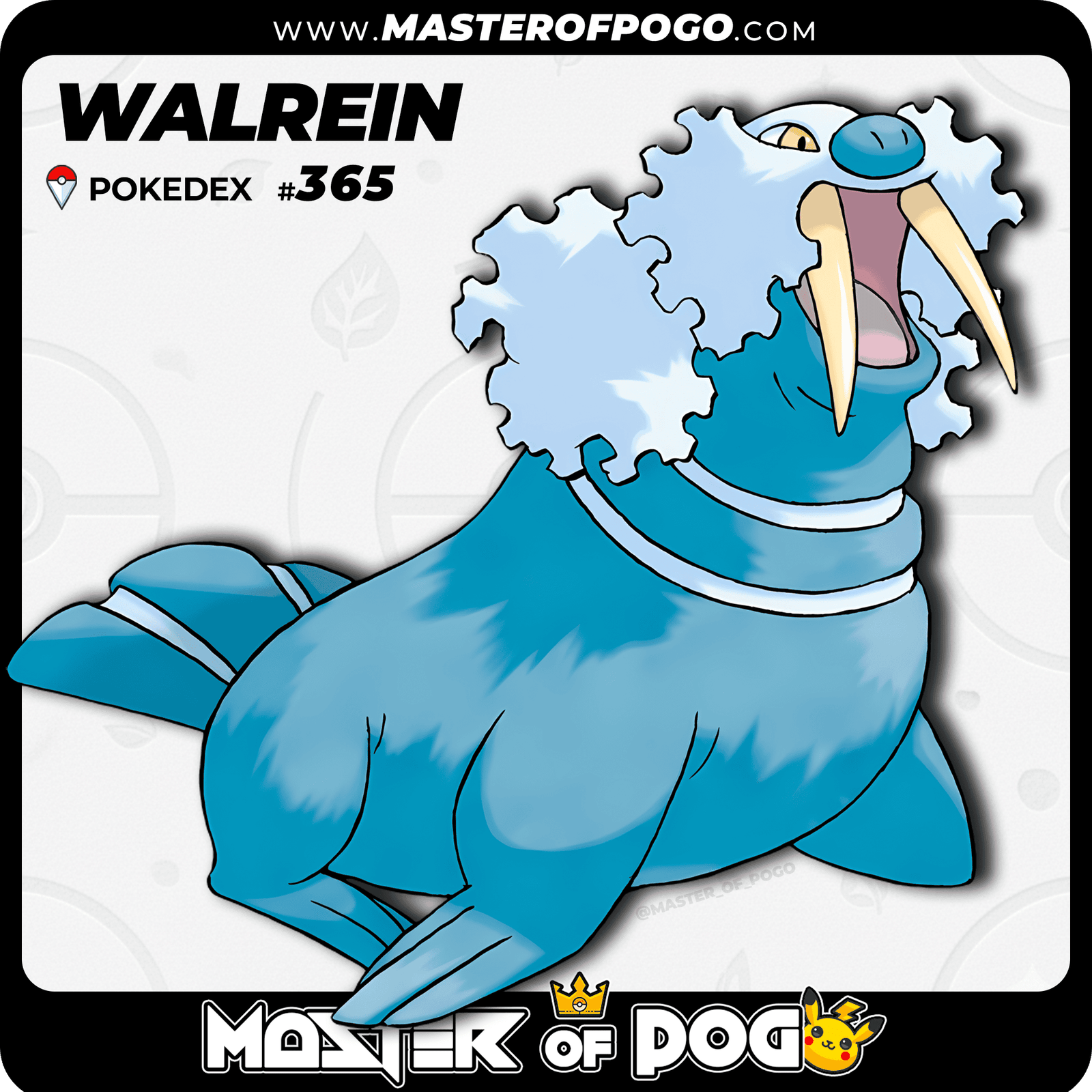 WEB-POKEMON-365-1.png