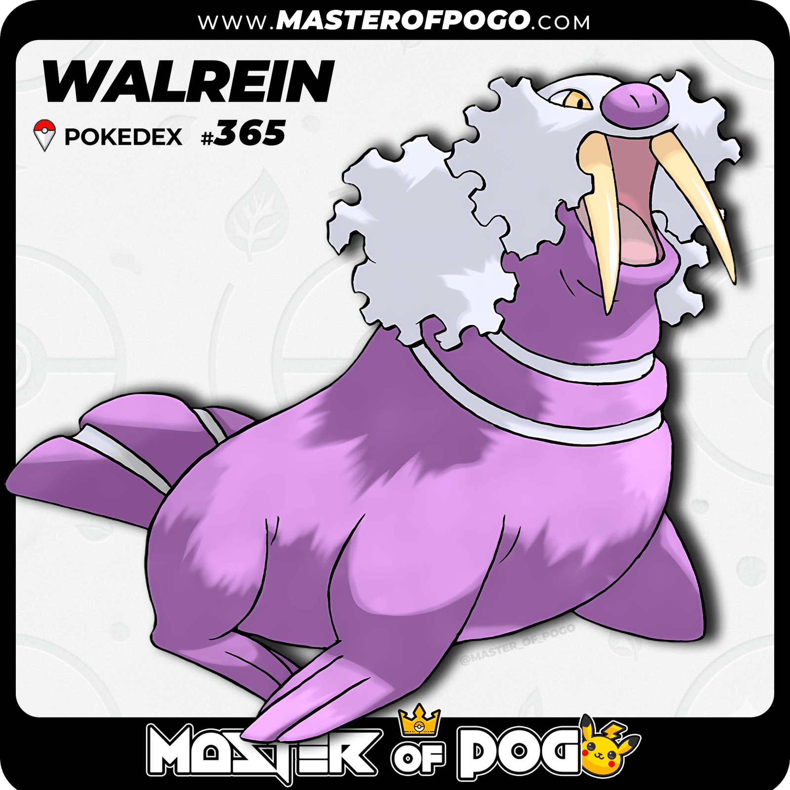 WEB-POKEMON-365-S-1.png