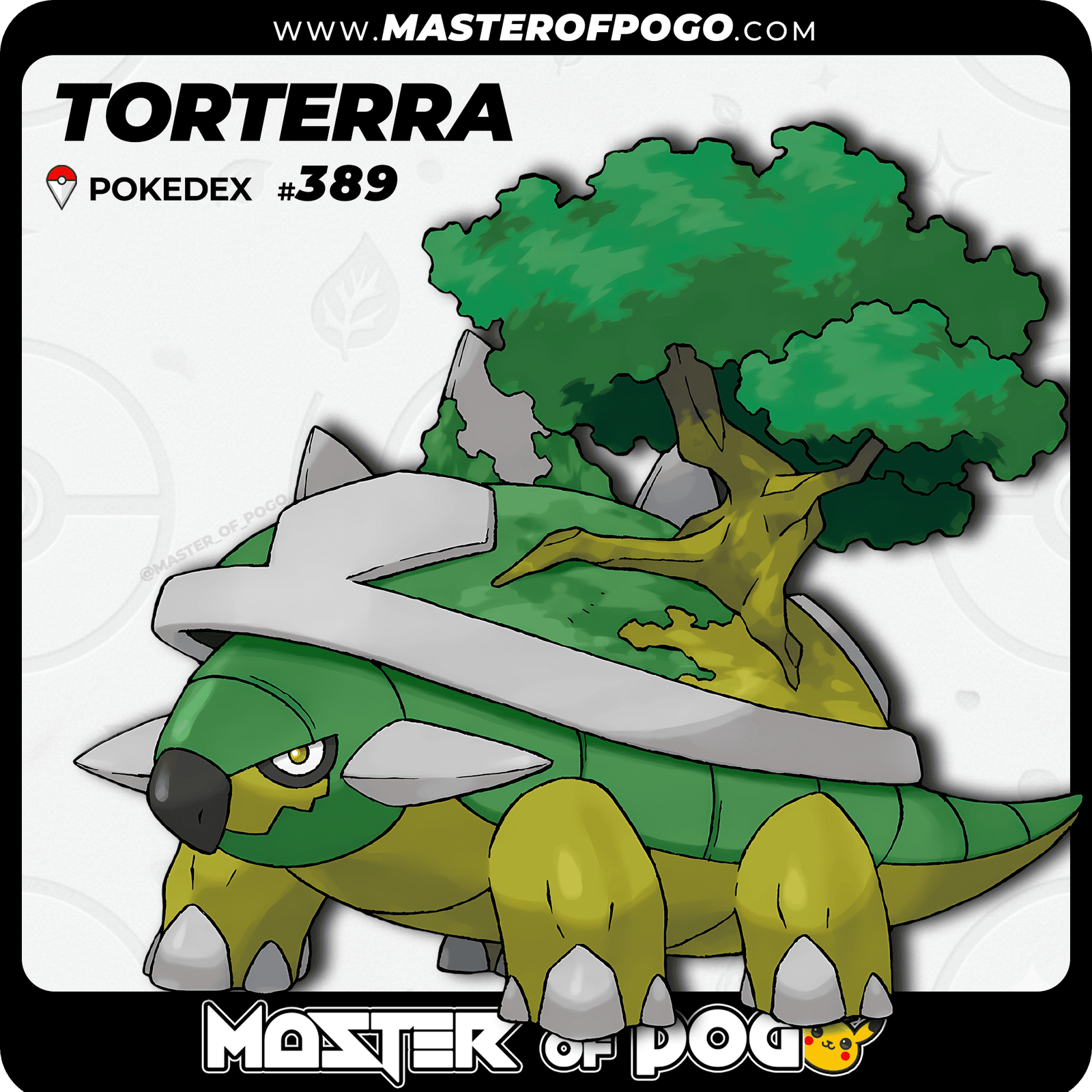 WEB-POKEMON-389-S-1.png