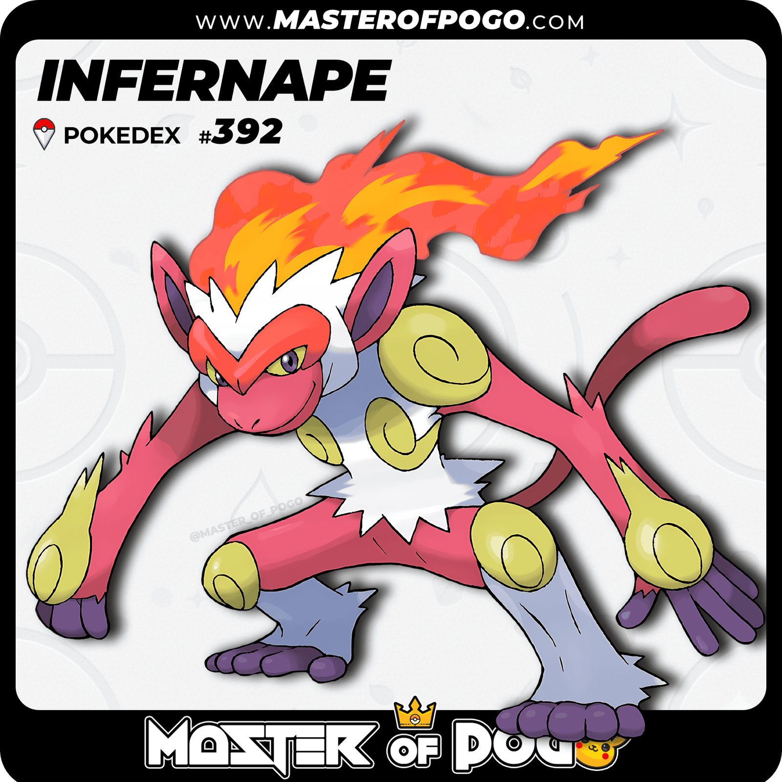 WEB-POKEMON-392-S-1.png