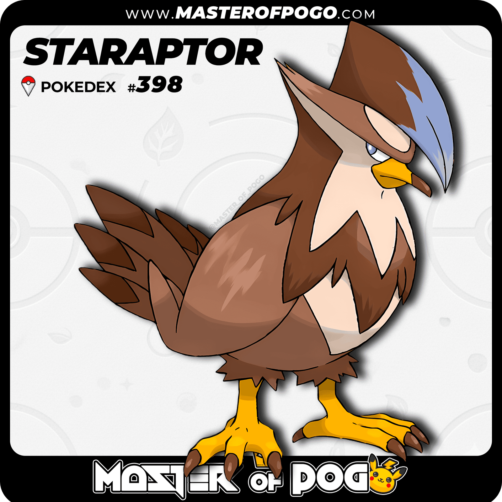 WEB-POKEMON-398-S-1.png