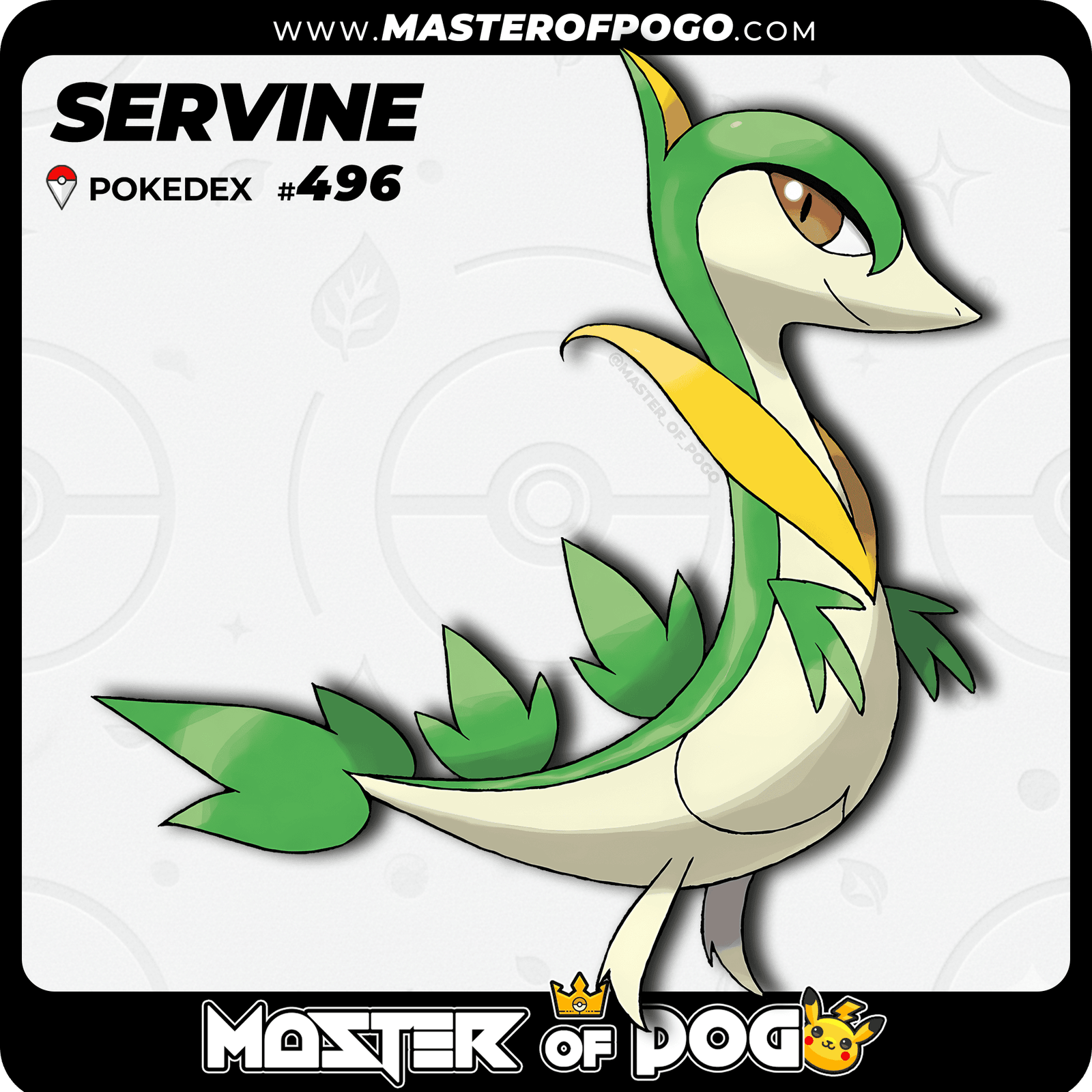 WEB-POKEMON-496-1.png
